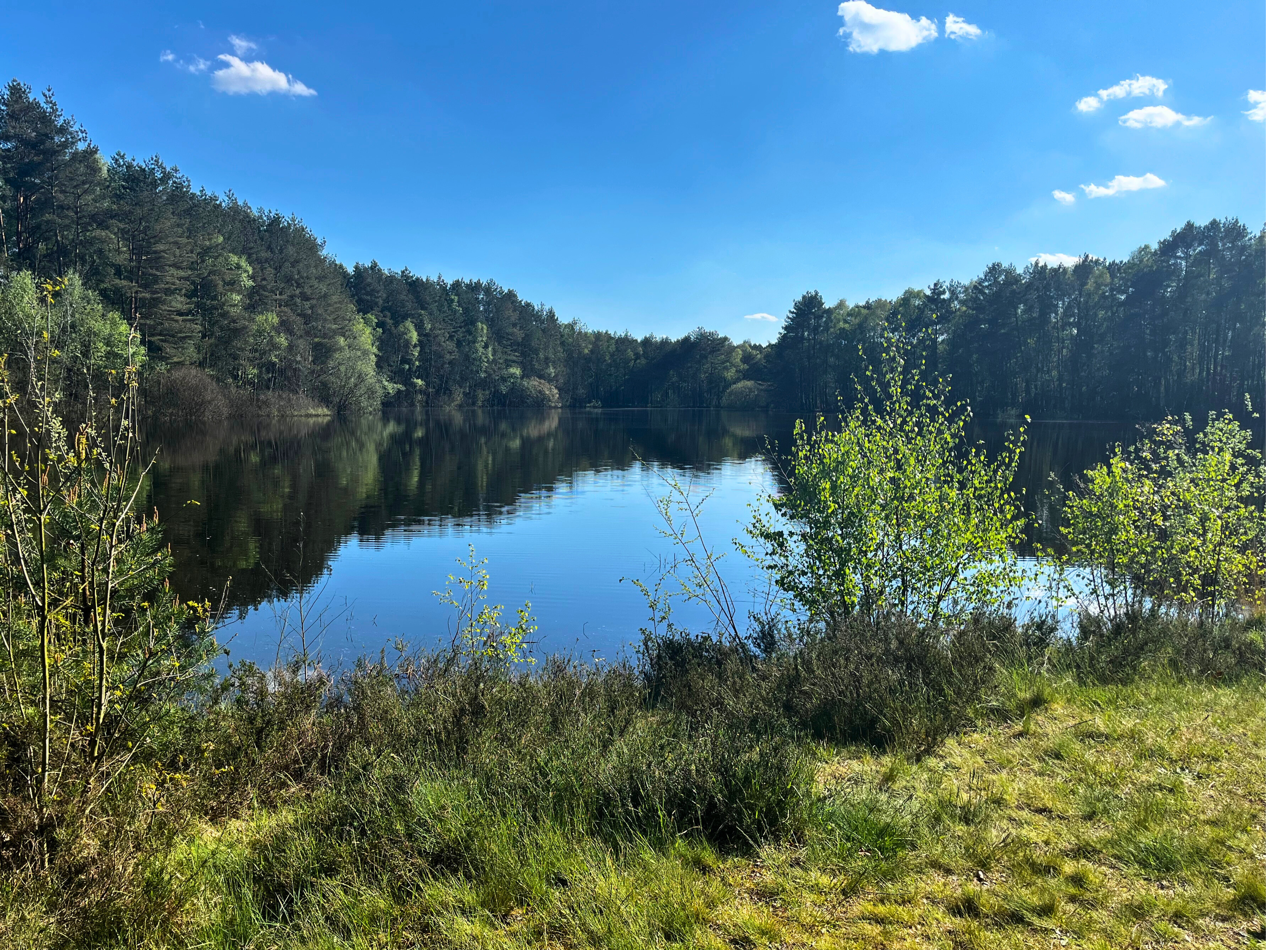 Stichter See