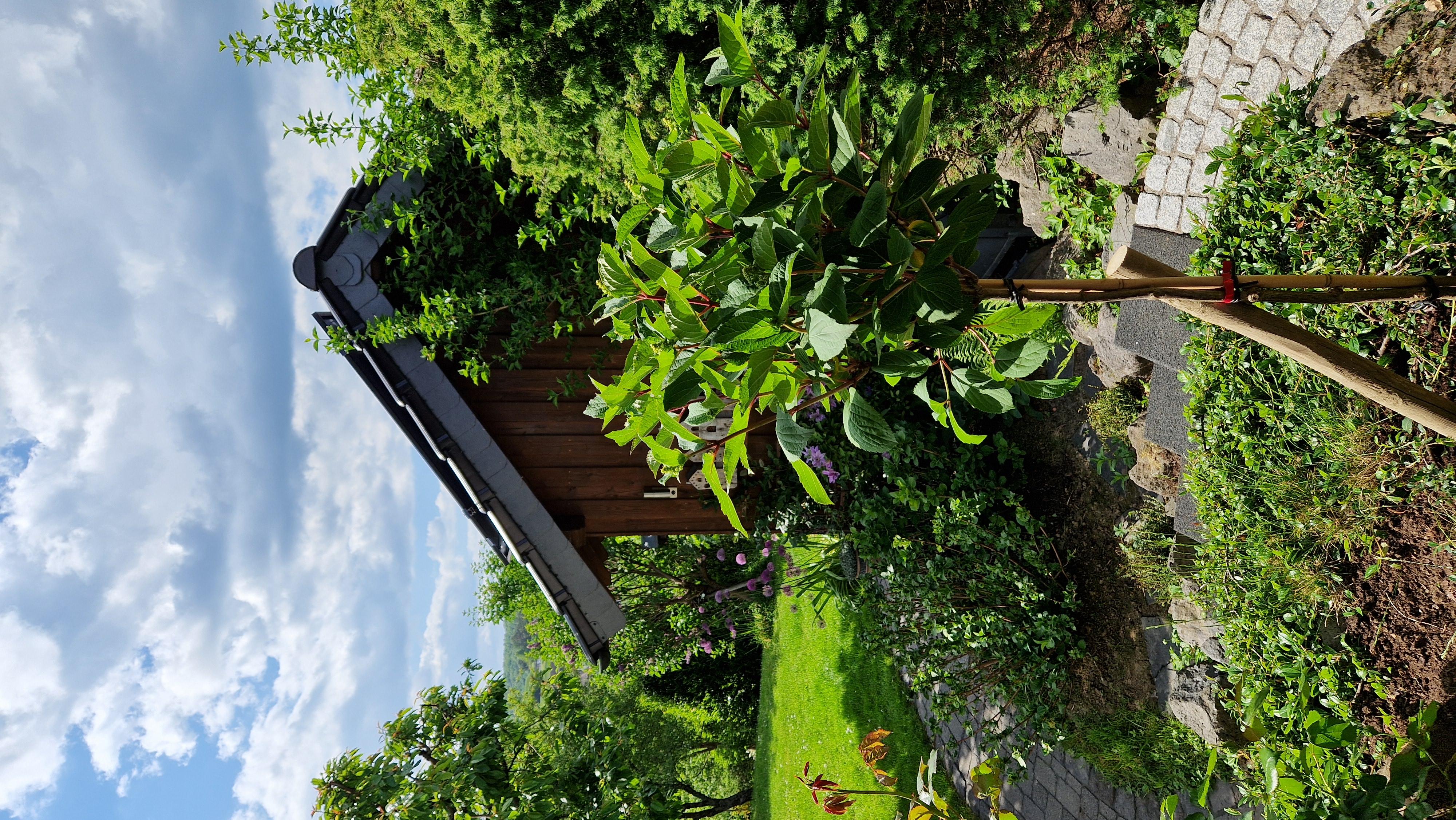 Ferienwohnung Eifelwild, Adenau