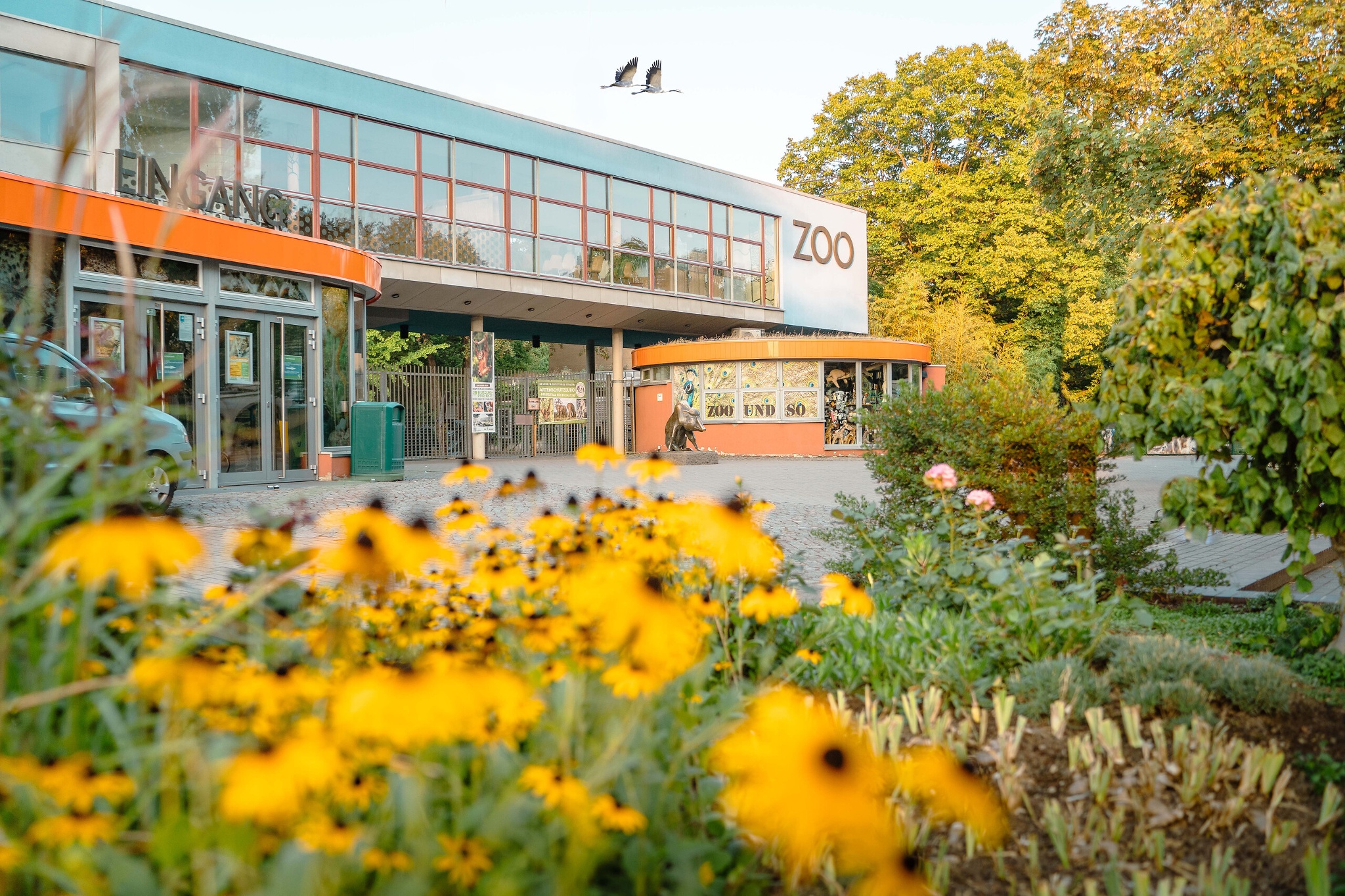 Zoo Dresden – Motiv