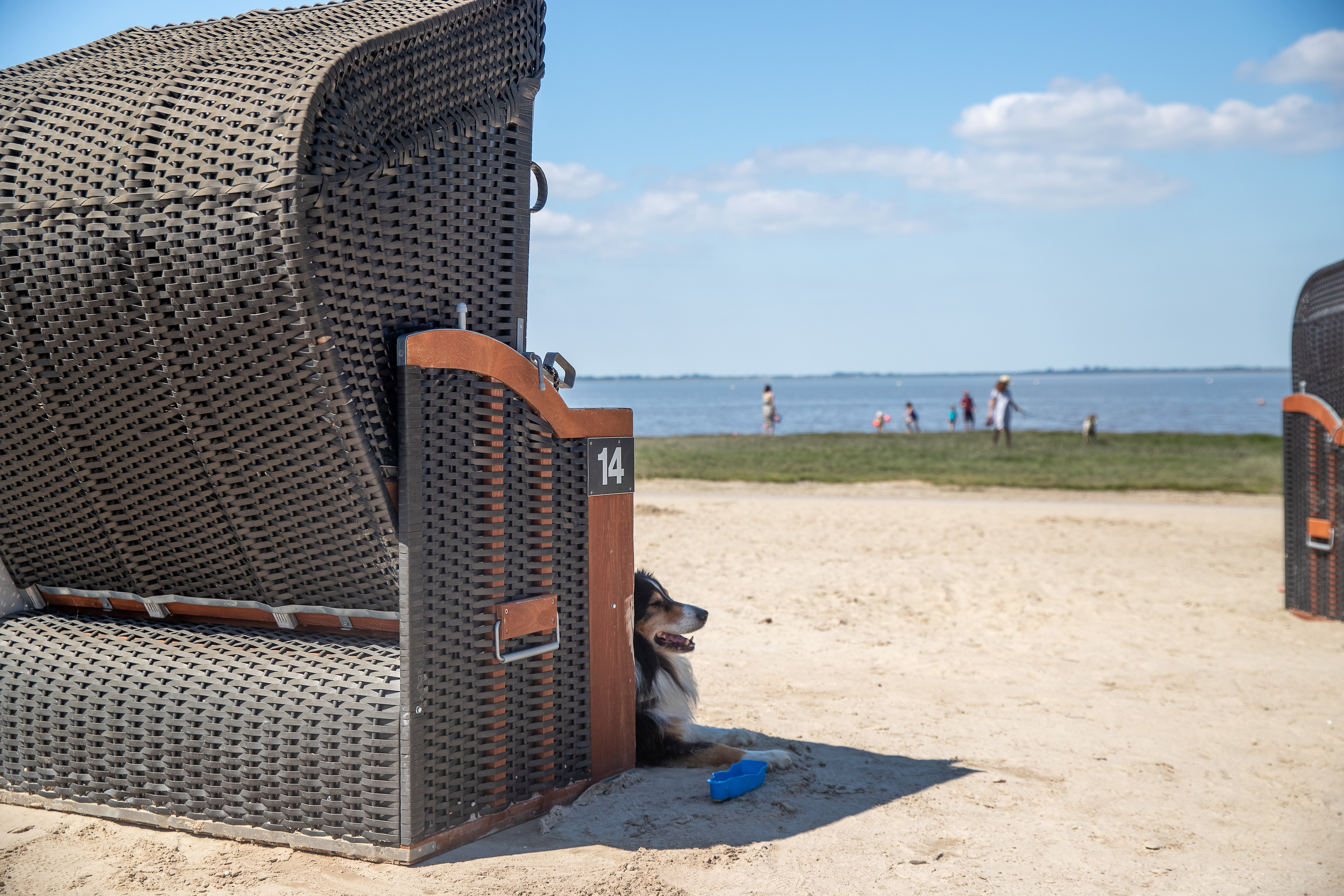 Hundestrand Dangast