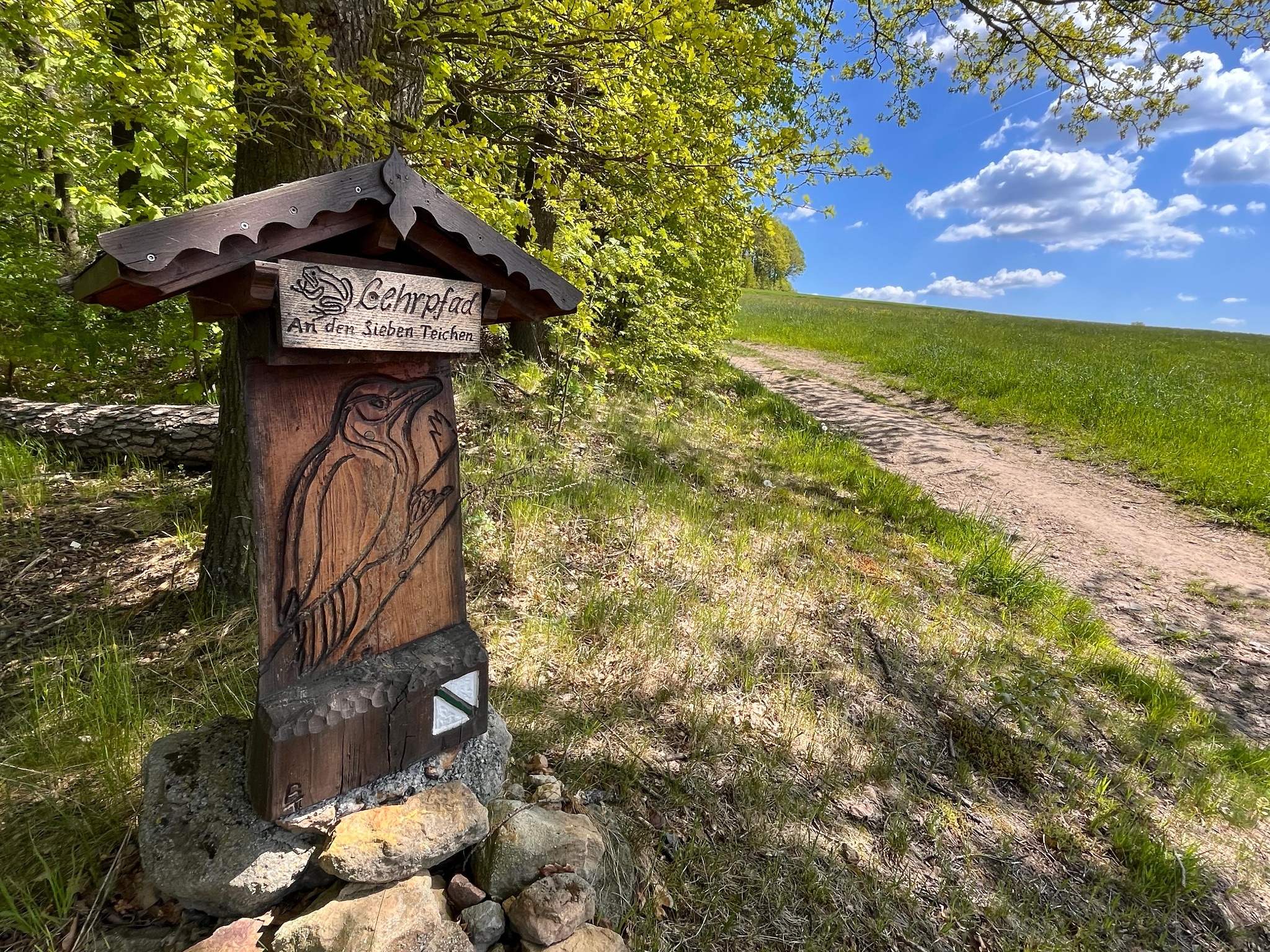 Bielatal: Familienwanderung mit Lehrpfad „An den sieben Teichen“ – Motiv