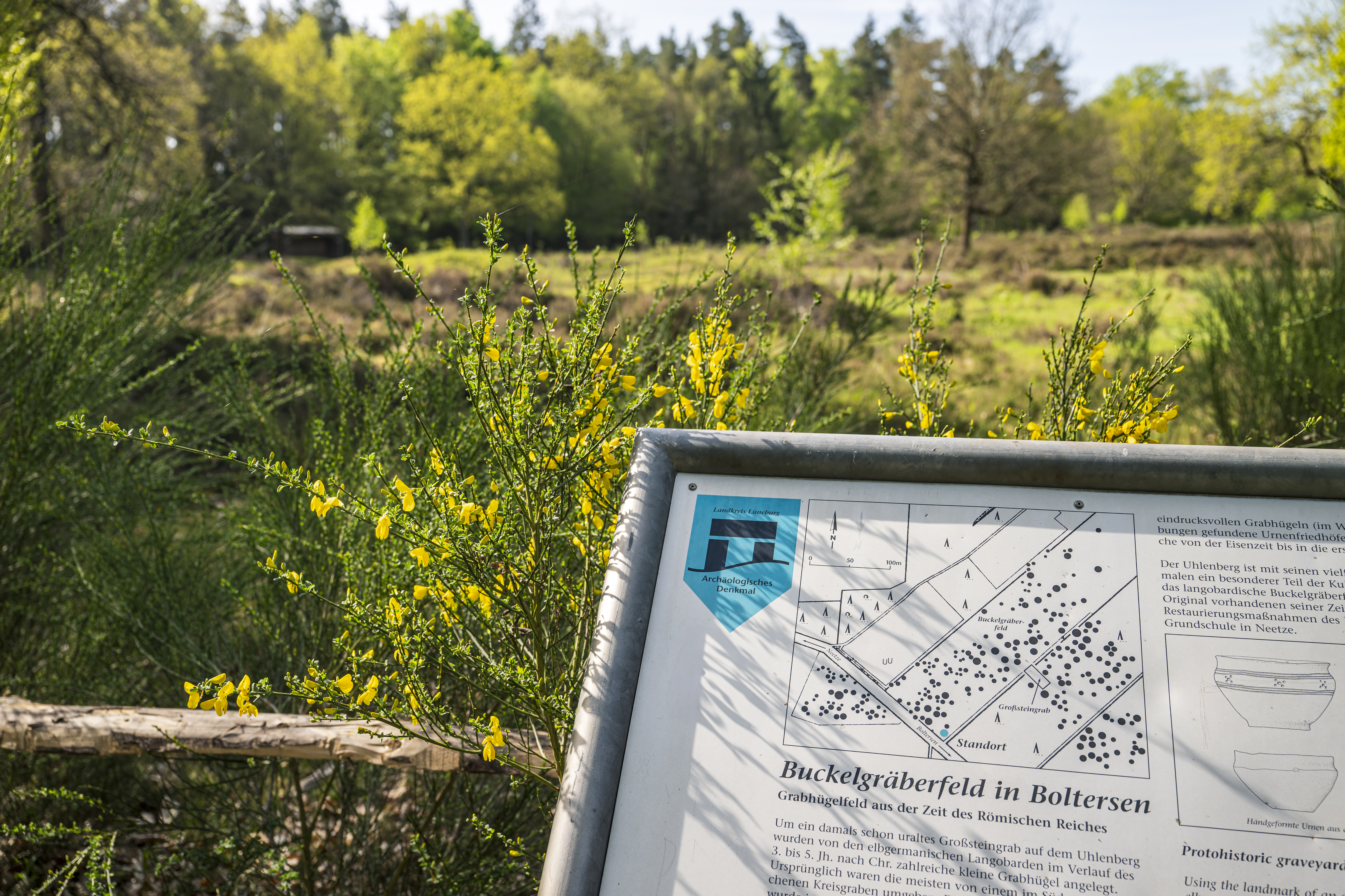 Buckelgräber Boltersen