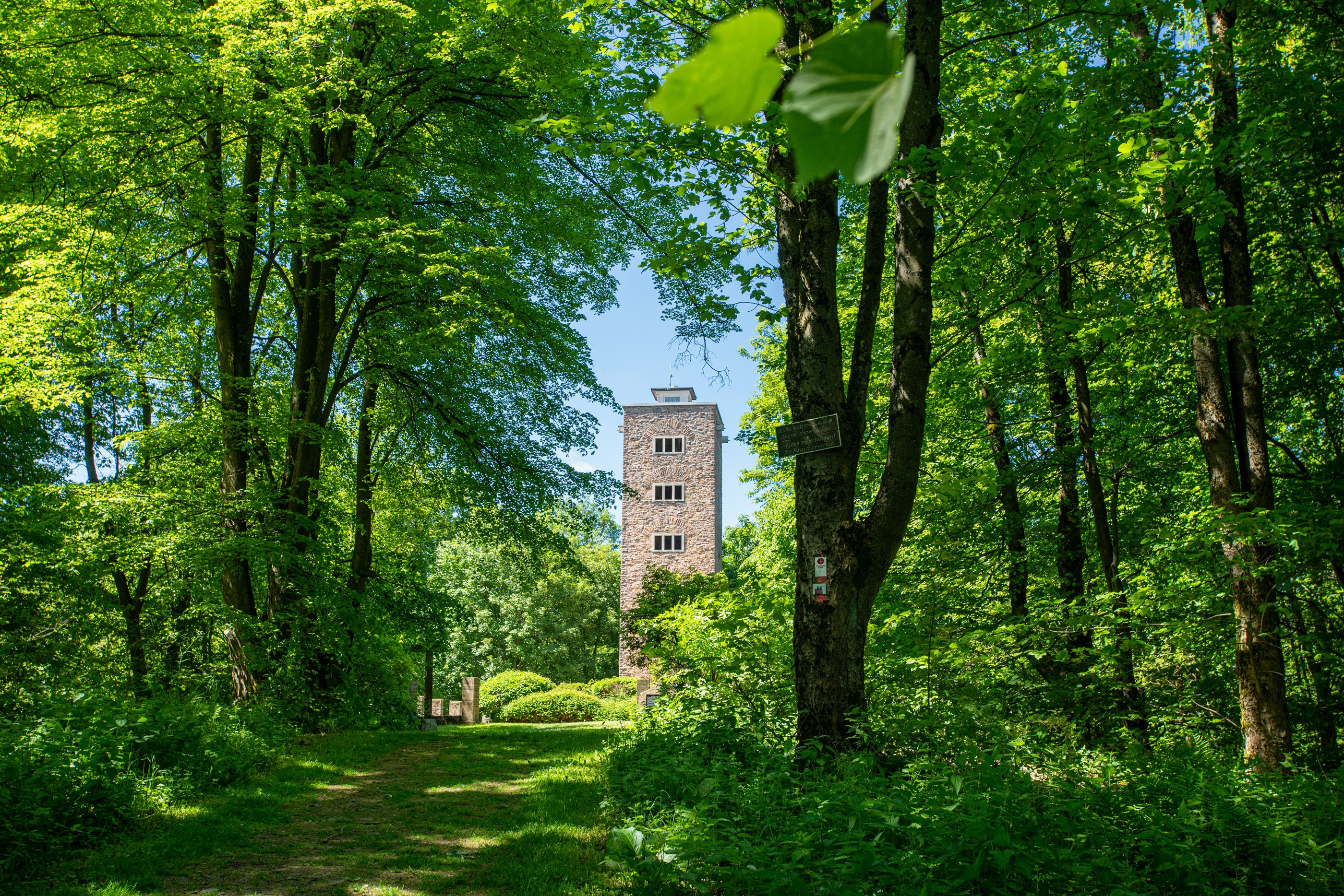 Alheimer_Frühsommer_Quer_Urheber EMF_Stefan Bochenek