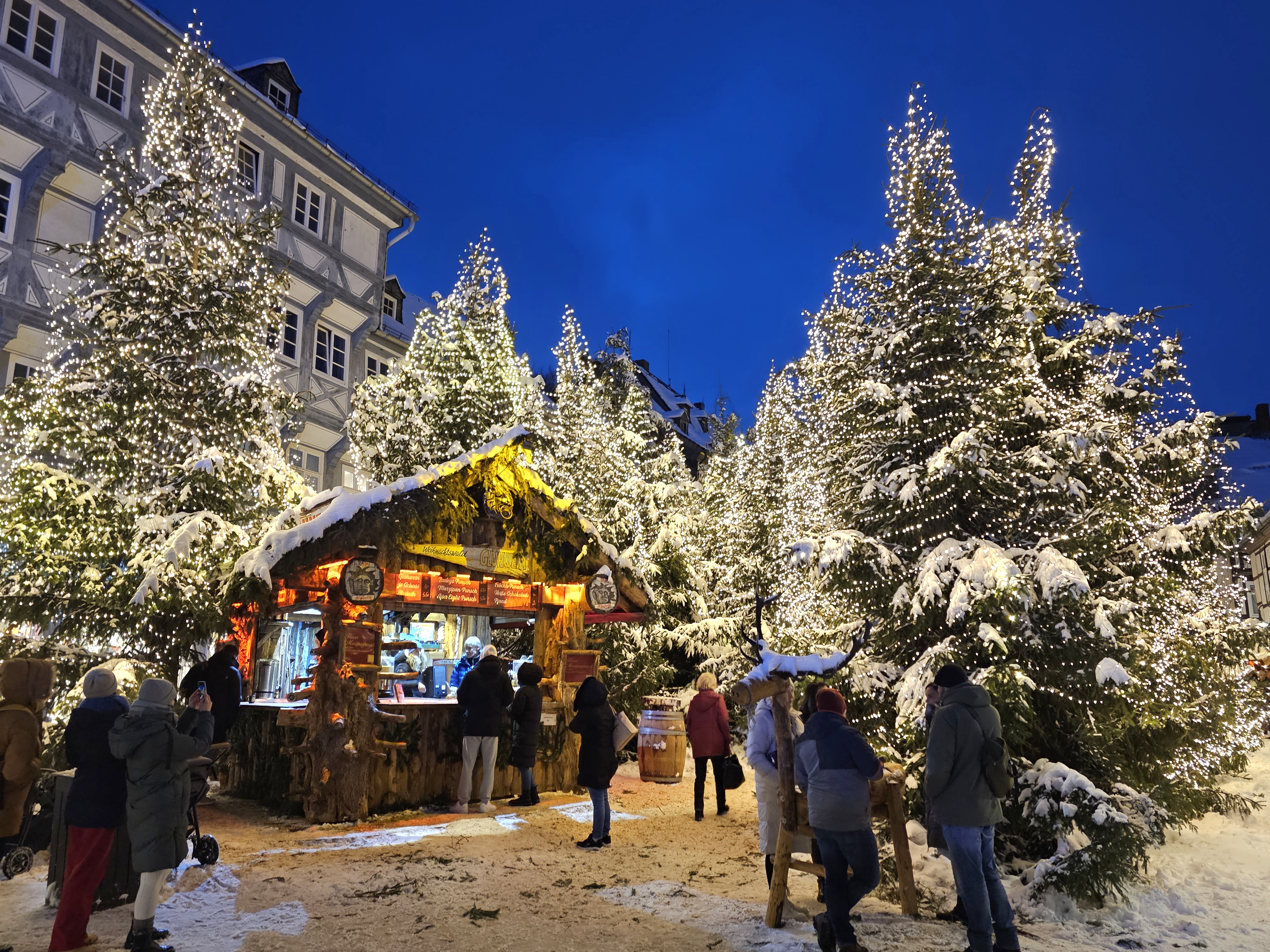 Weihnachtsmarkt und Weihnachtswald Goslar