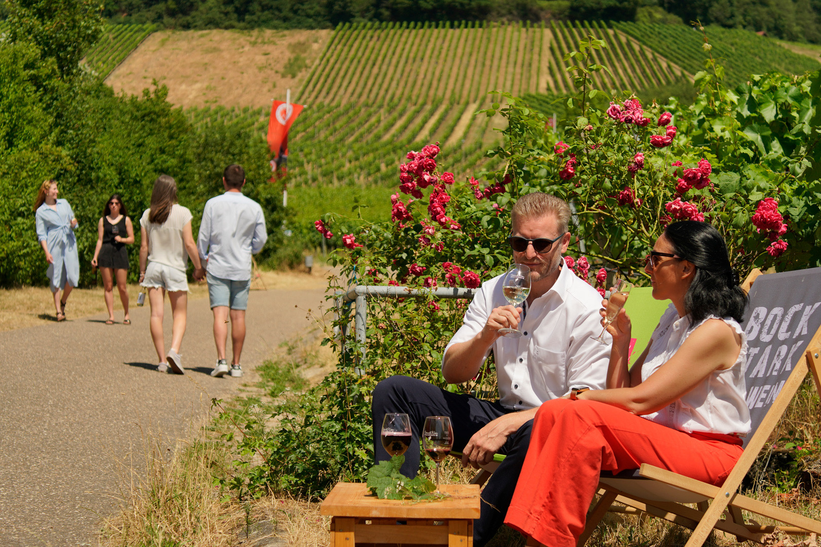 Natur & Wein | WeinWanderEvent
