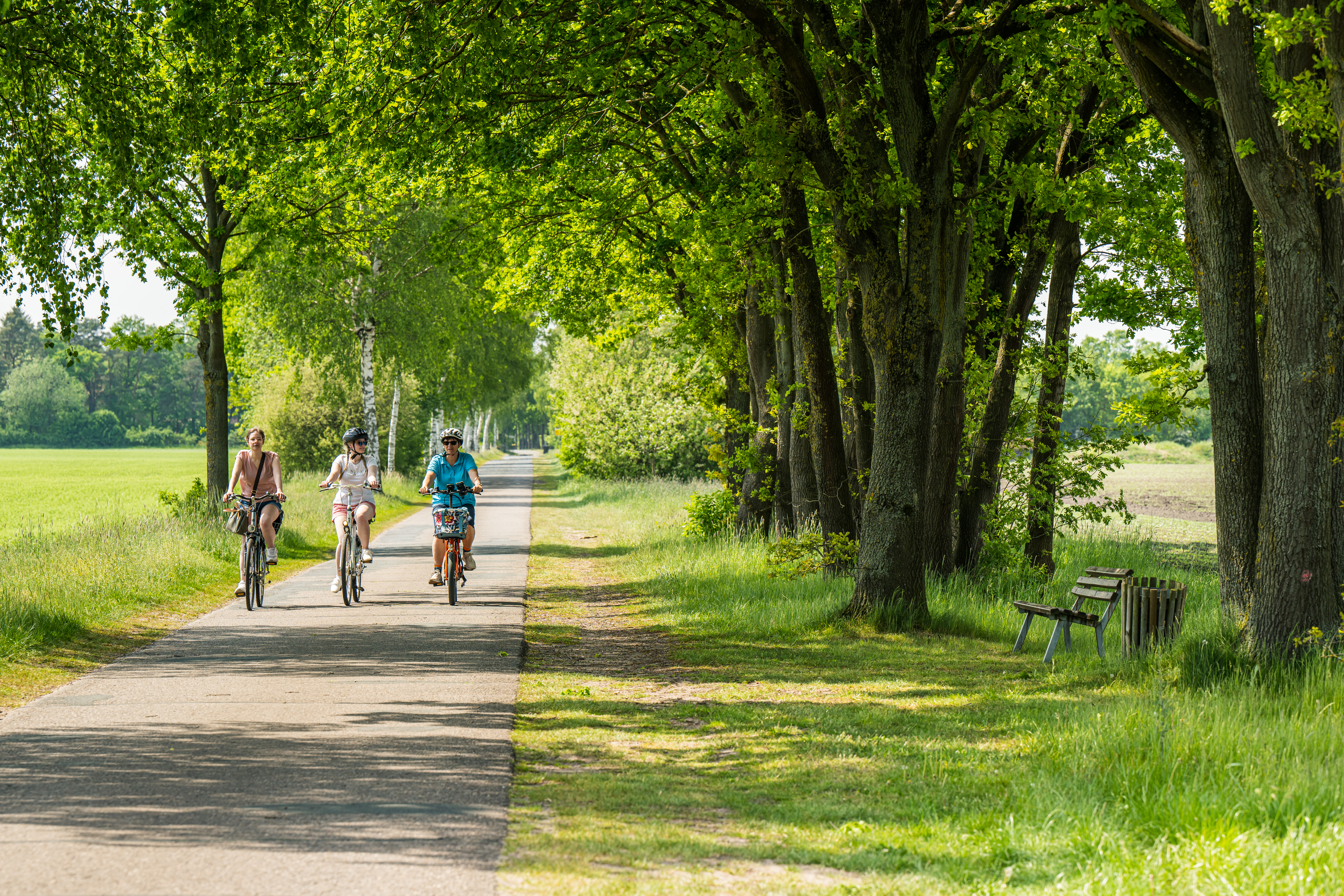 Auf dem Reininger Kirchweg