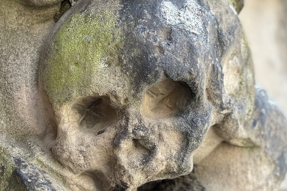 Von Vampiren und Spukgestalten