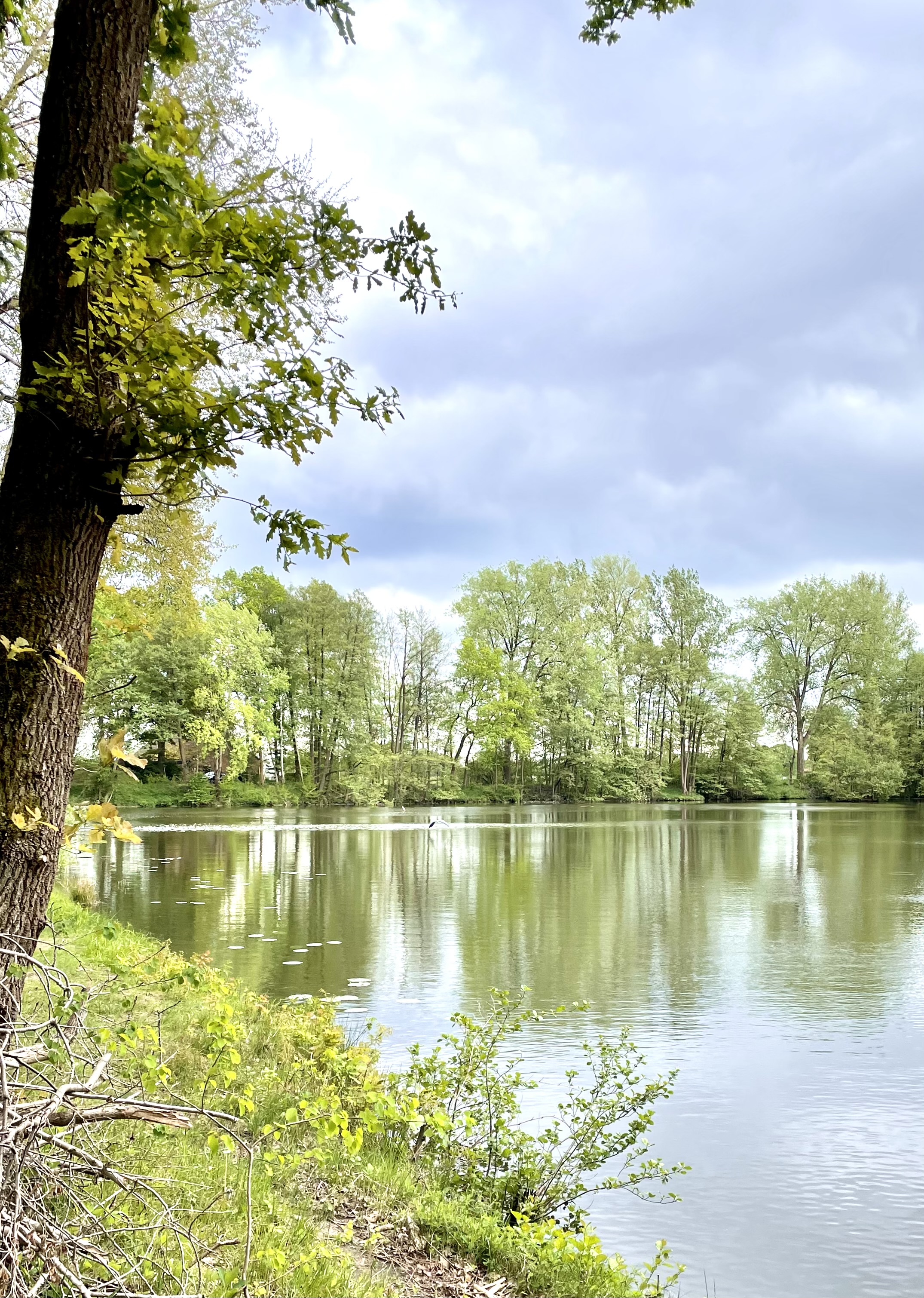 Rundweg um das Wietzenbruch