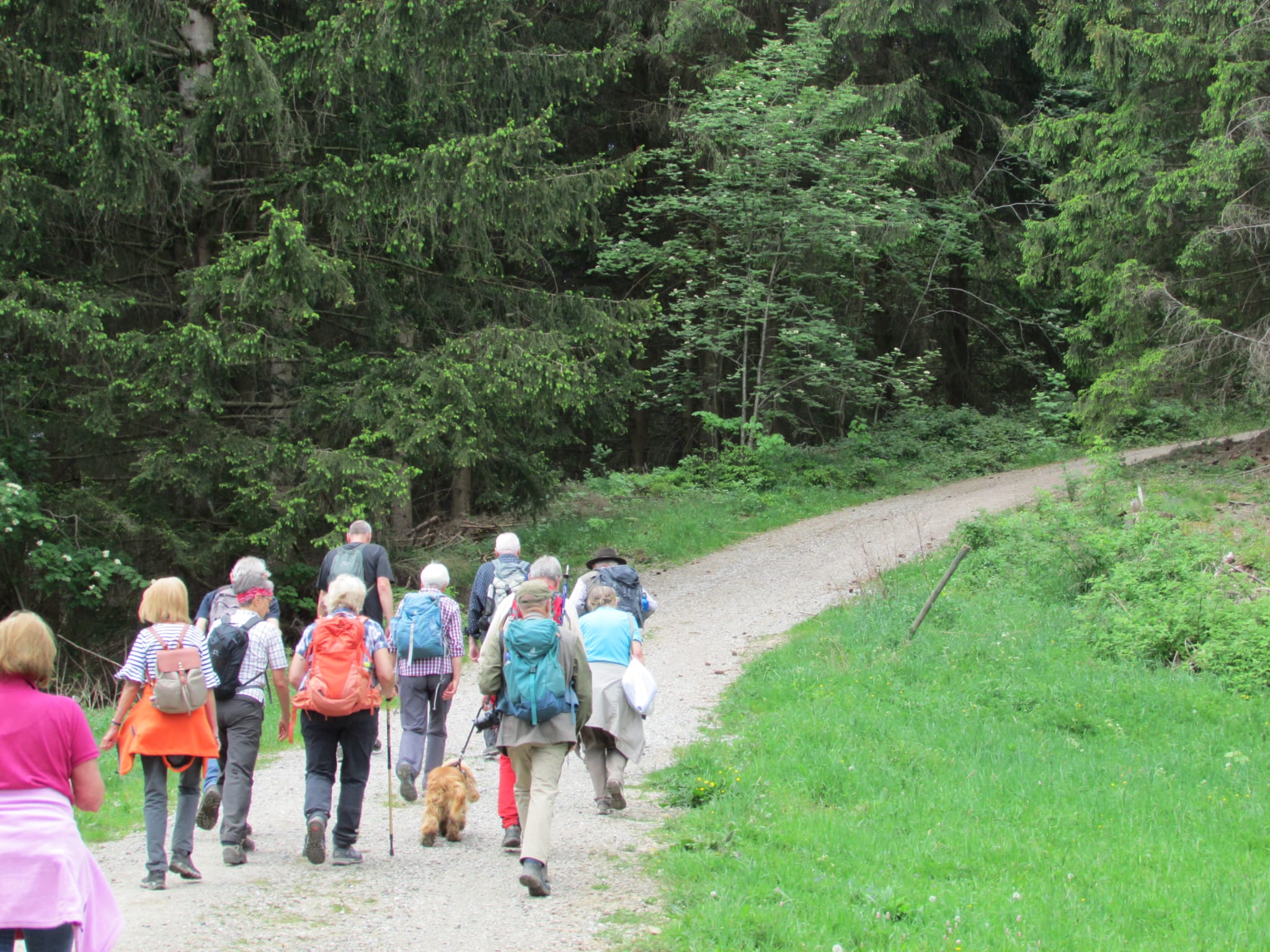 Feierabendwanderung „Hüttenkopf“