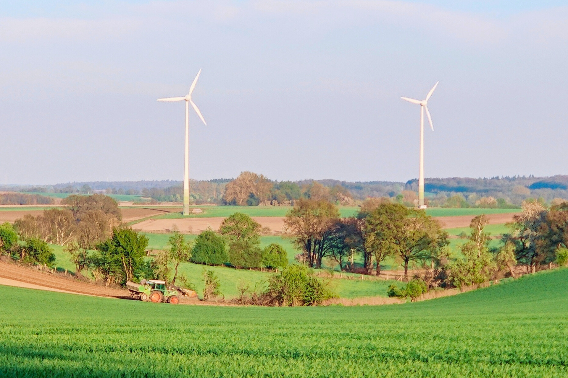 Hügel, Heide, Hünengräber