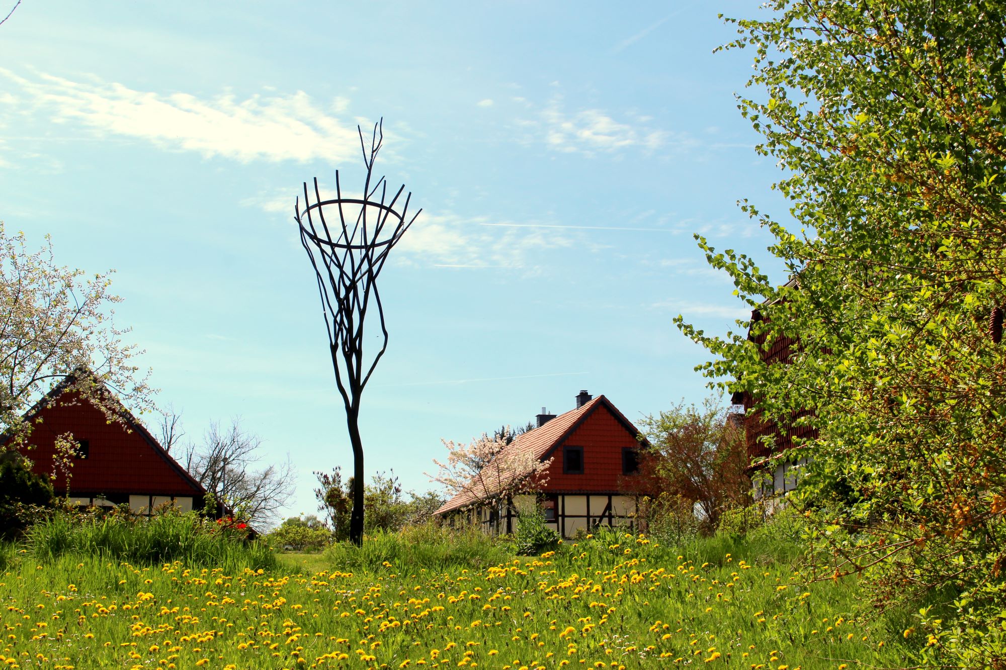Skulpturengarten Heckenbeck