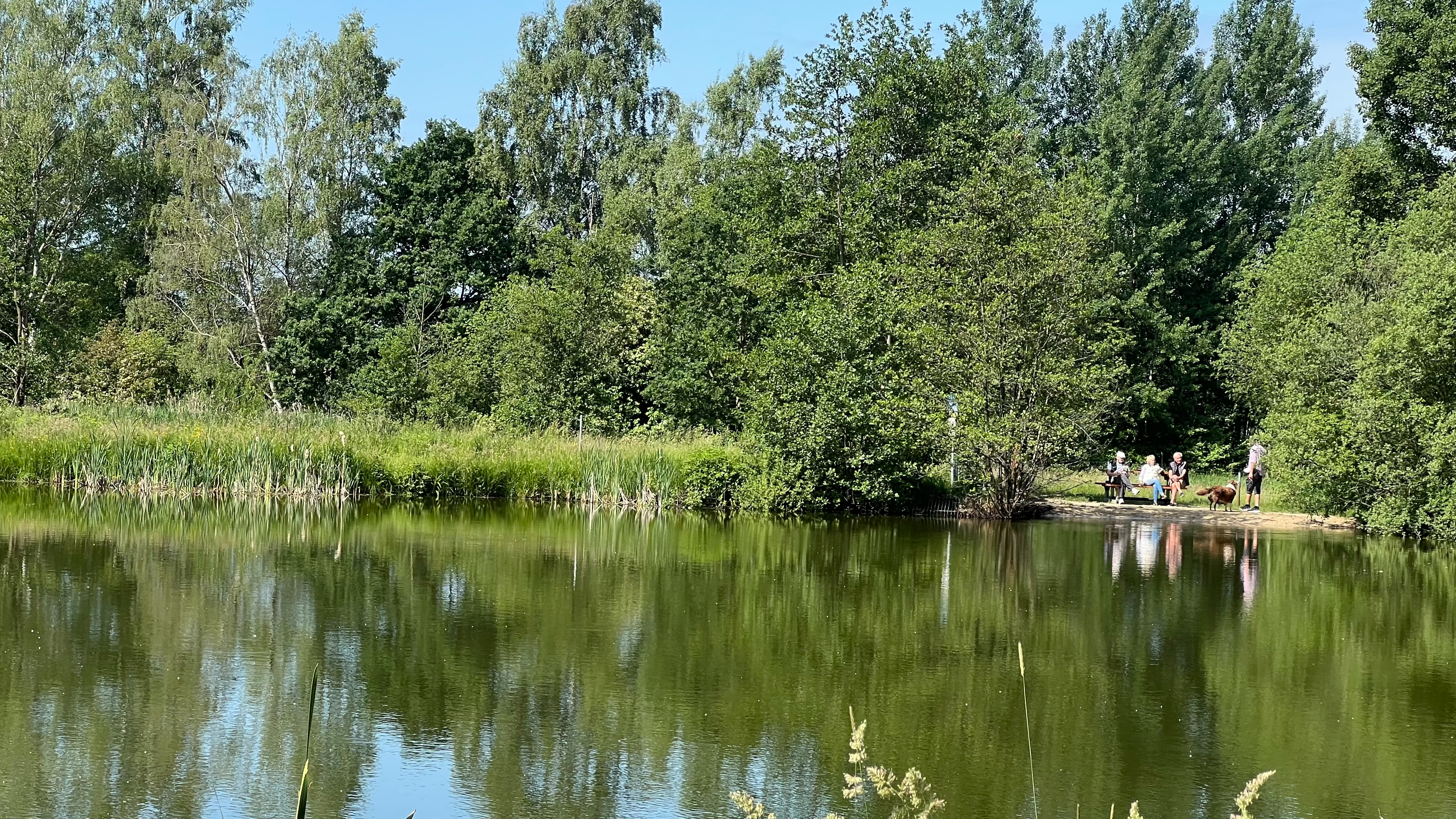 Hundespielplatz am Visselsee
