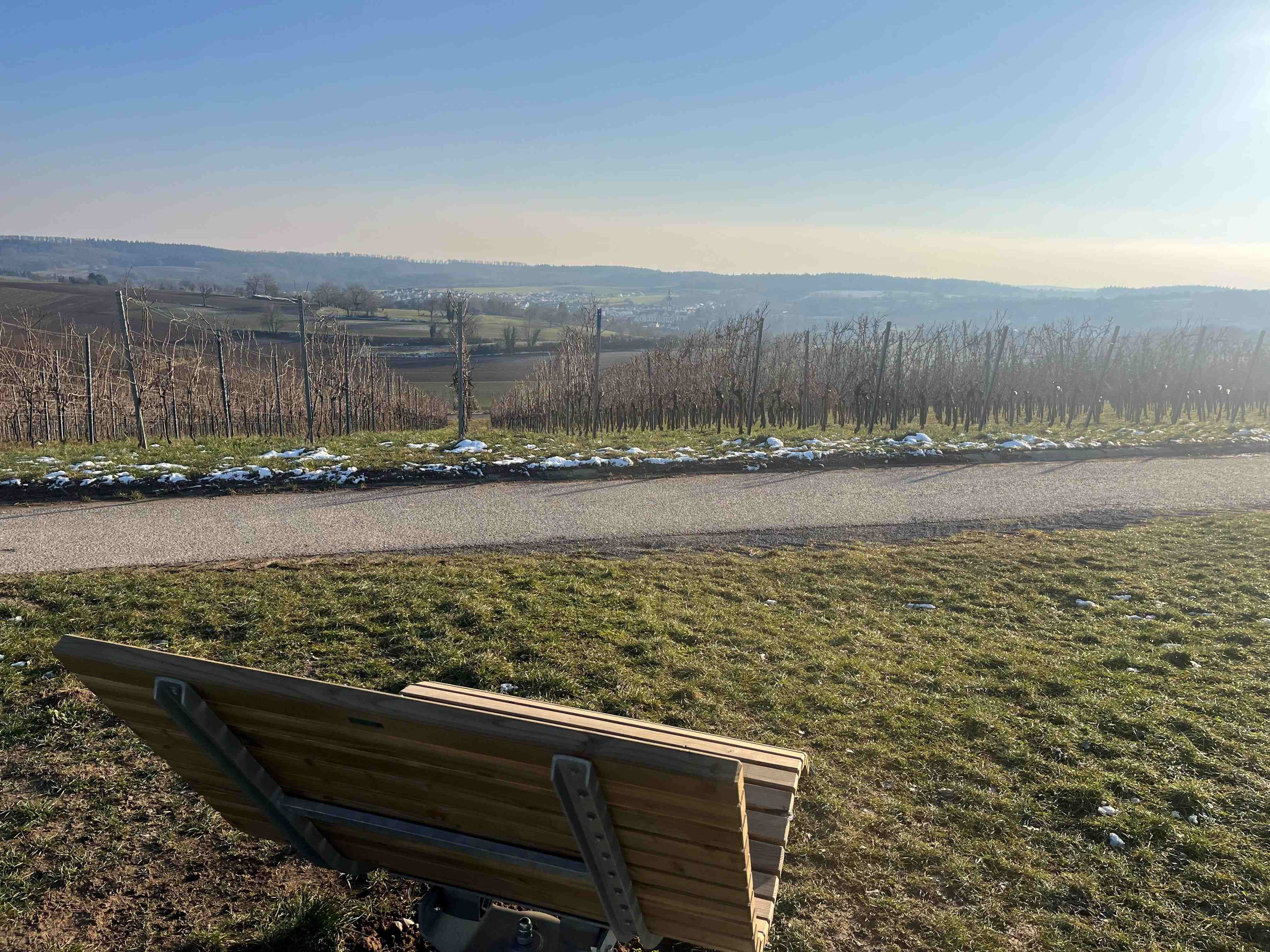 Hügel-Sofa_Odenheim_2025-02-17_Viola_Spitzer