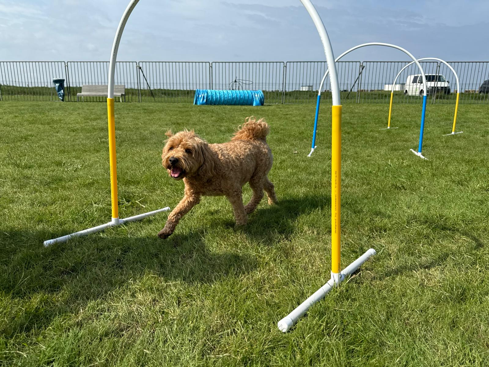 Hundefreilaufwiese Dorum-Neufeld
