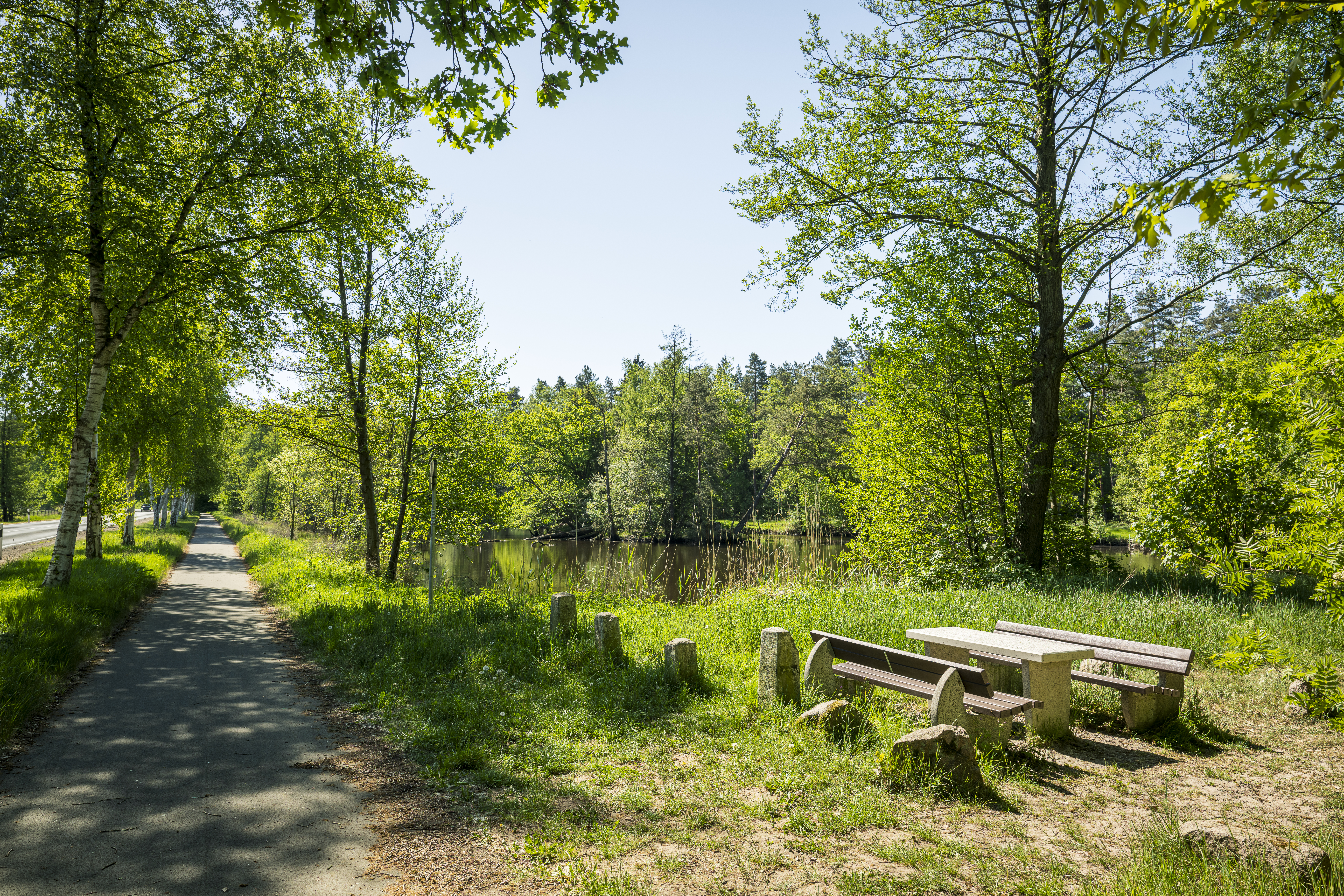 Rastplatz am See