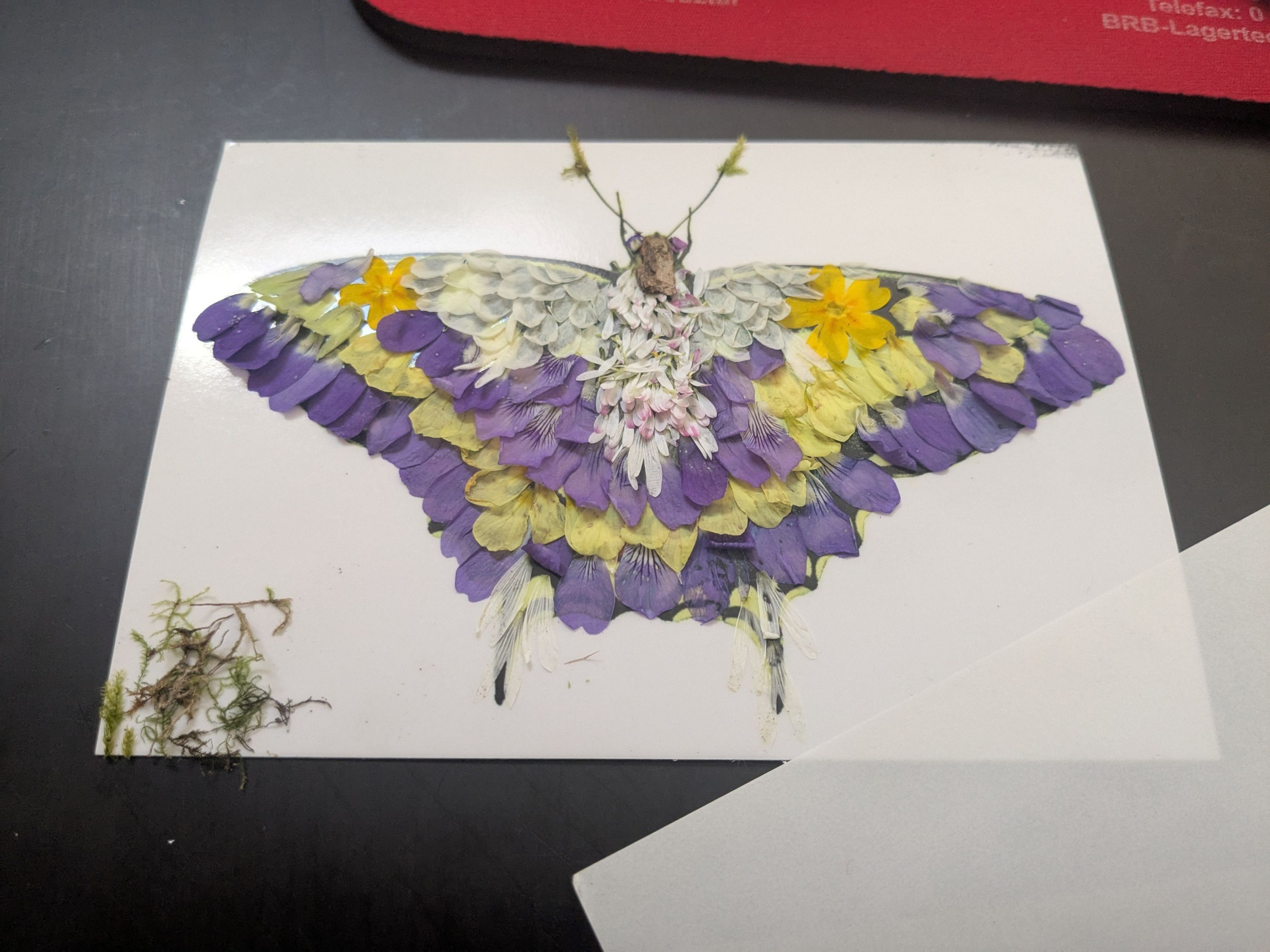 Klebeschmetterling