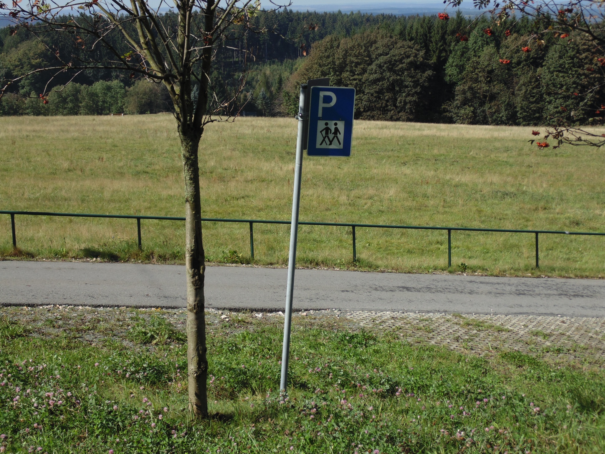 Wanderparkplatz an der Turnhalle Schnarrtanne – Motiv