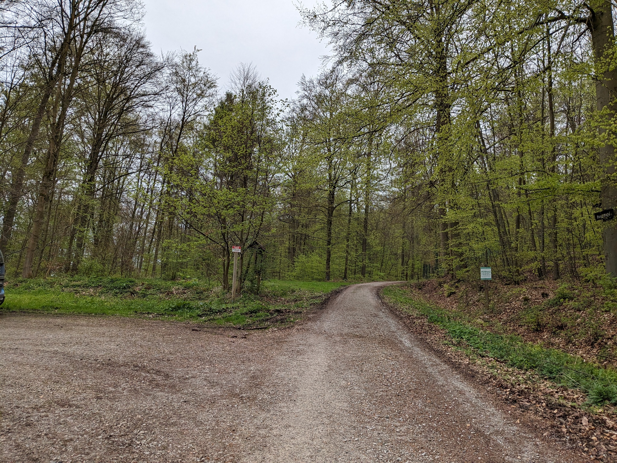 Wanderparkplatz und Wandertafel Greener Wald
