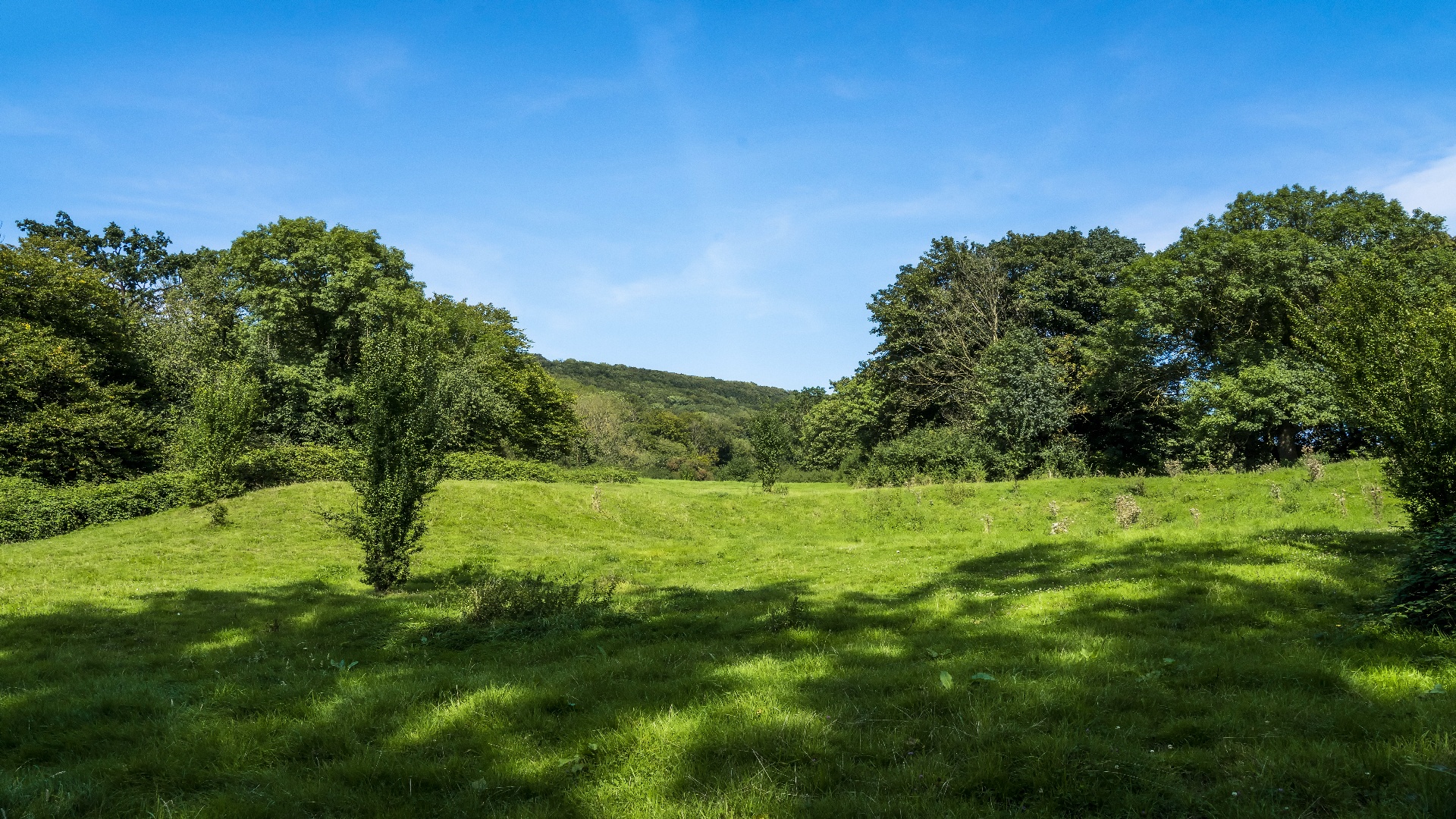 Hudewald und Hohlwegbündel Schaumburg