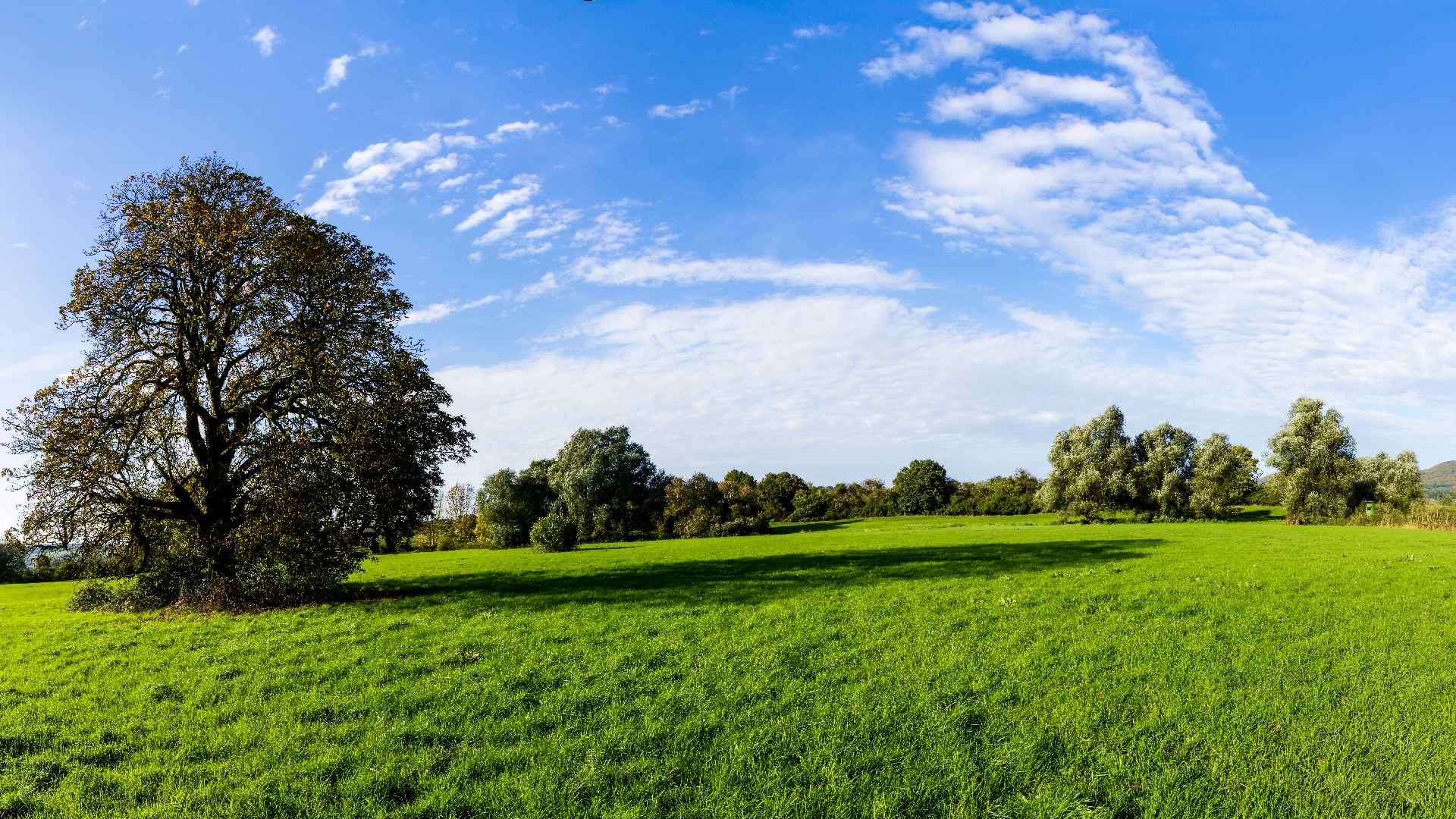 Naturschutzgebiet Aher Kämpe