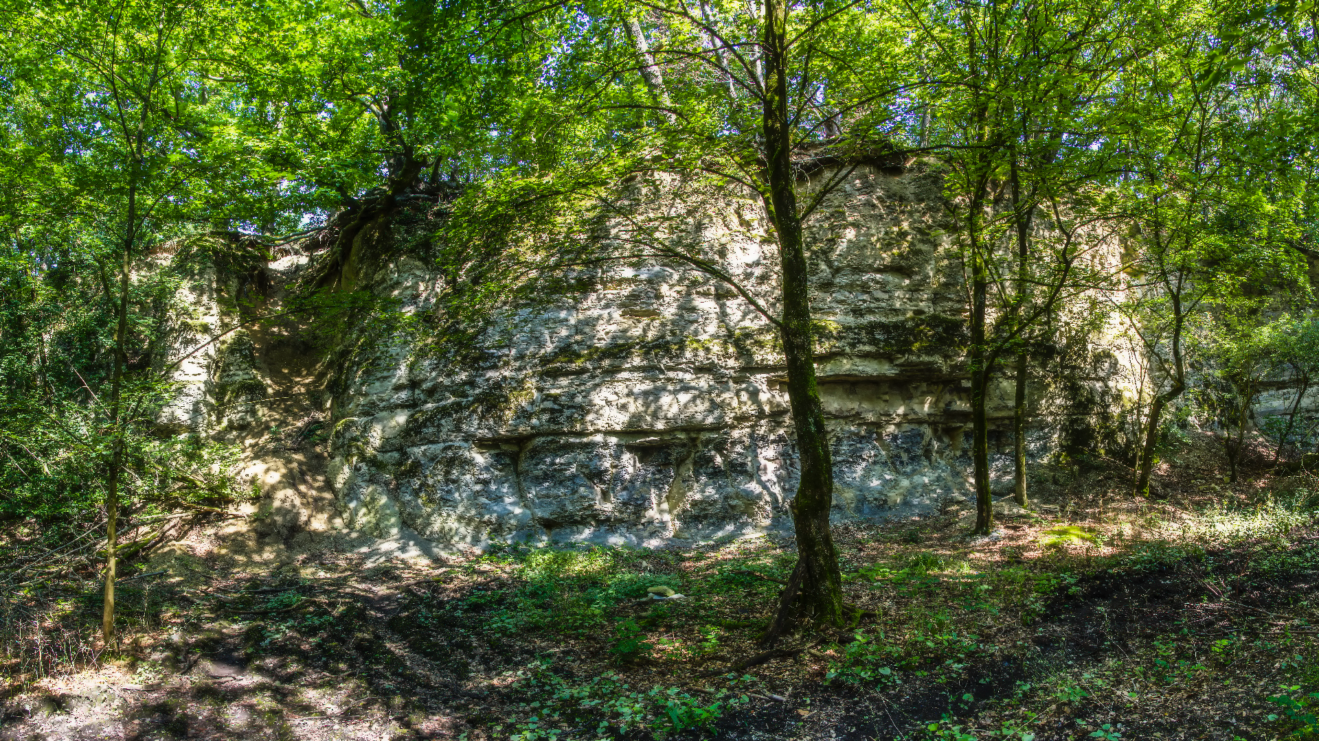Mergelkuhle