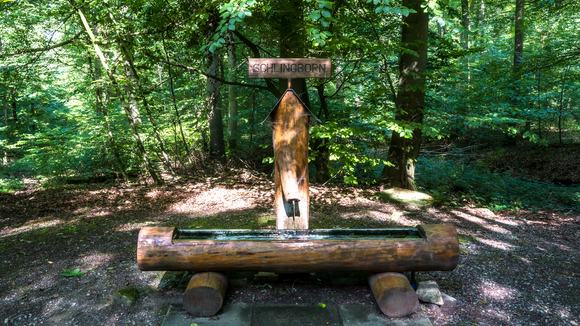 Schaumburger Diamanten an der Schlingborner Quelle