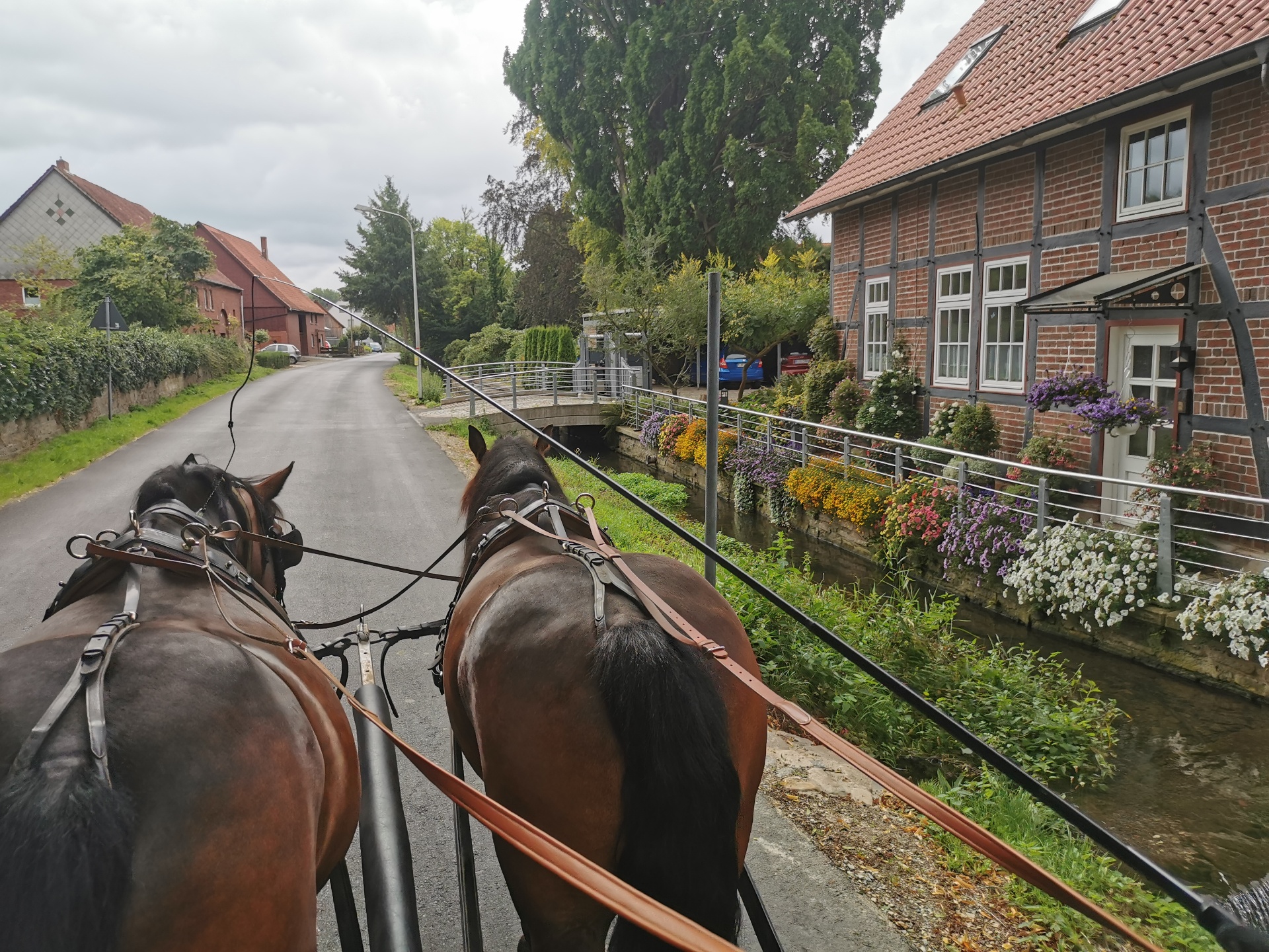 Kutschfahrten Rinteln