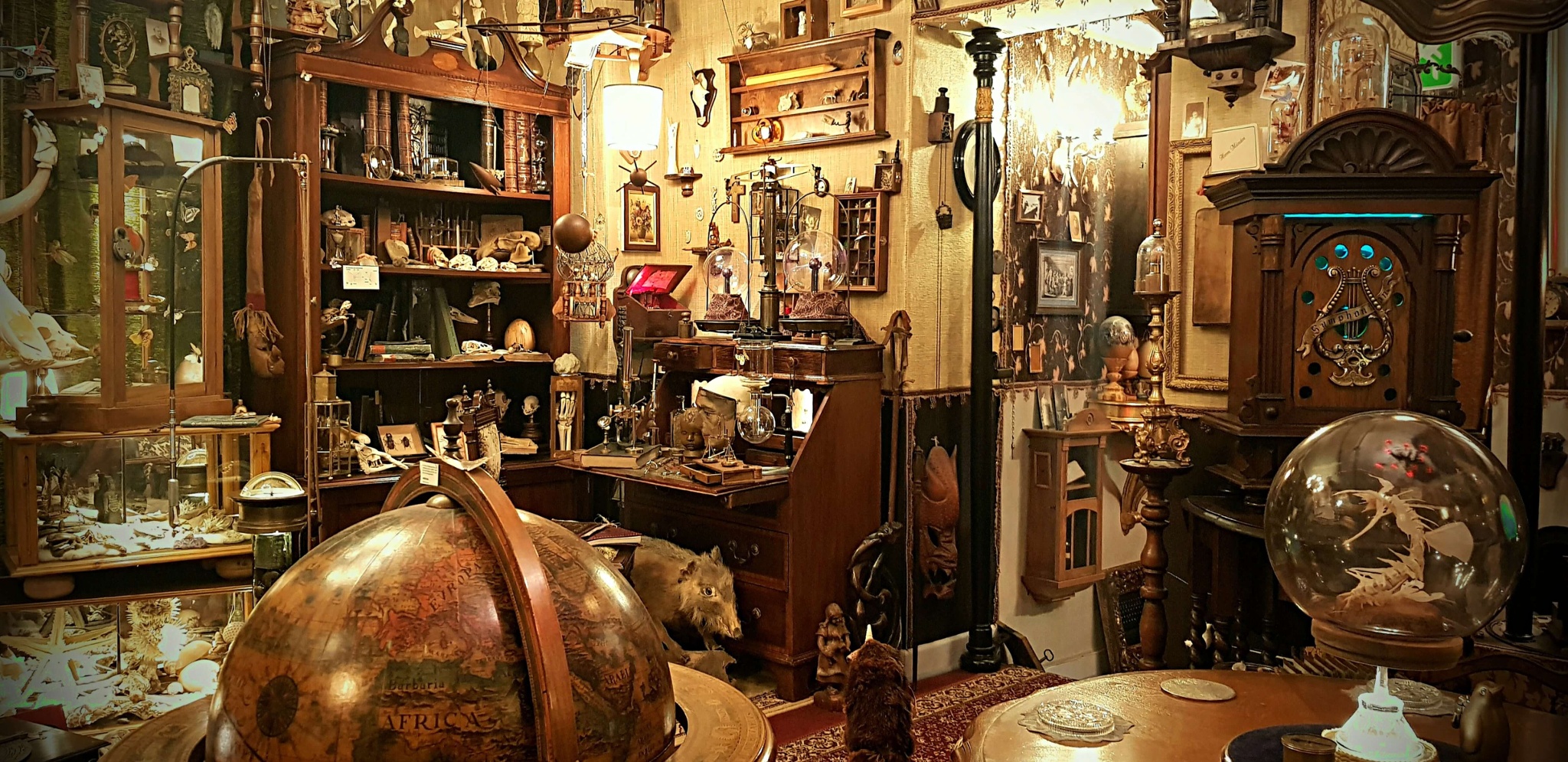 Dr. Wolfs Wunderkammer