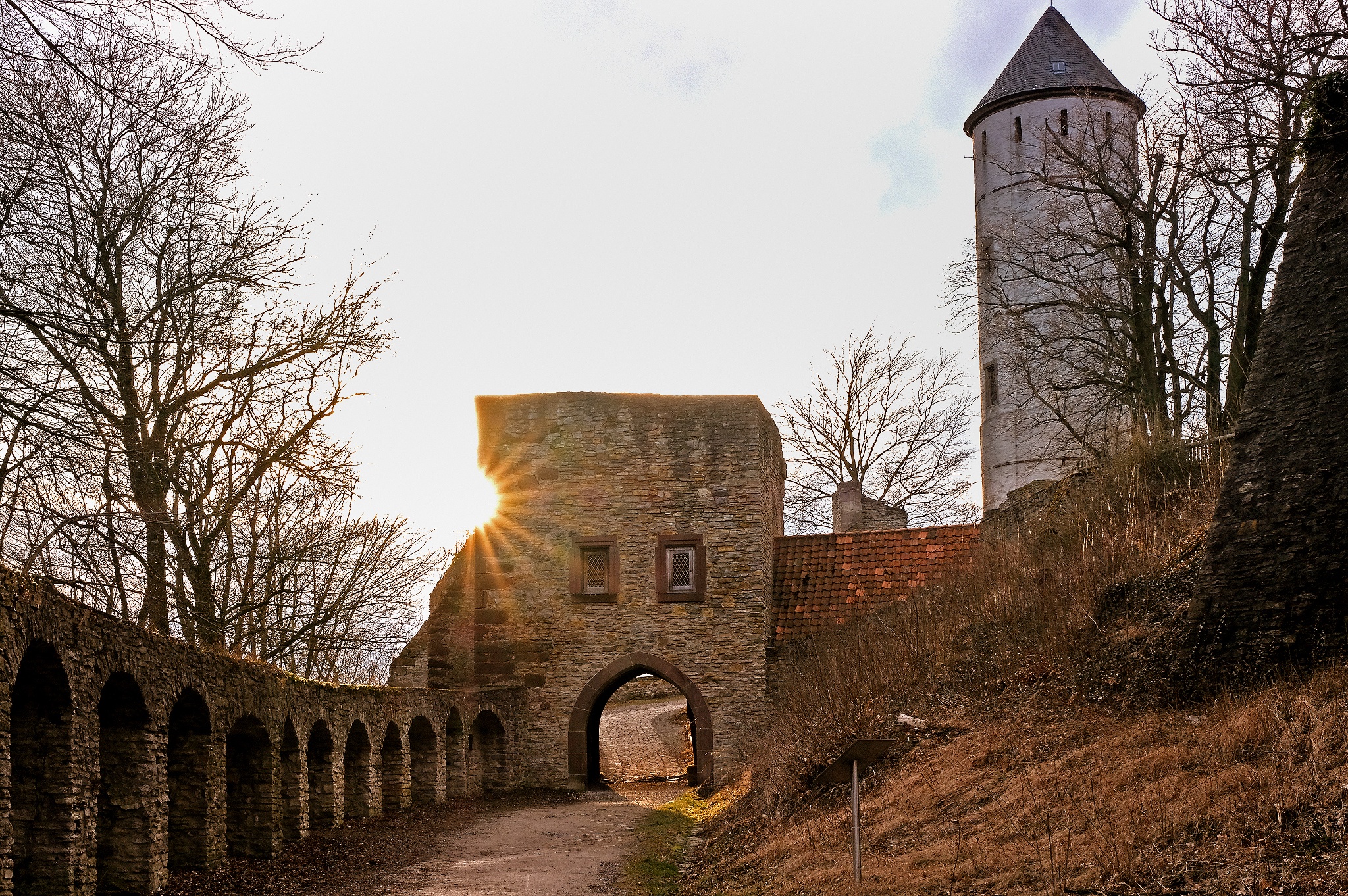 Burg Plesse