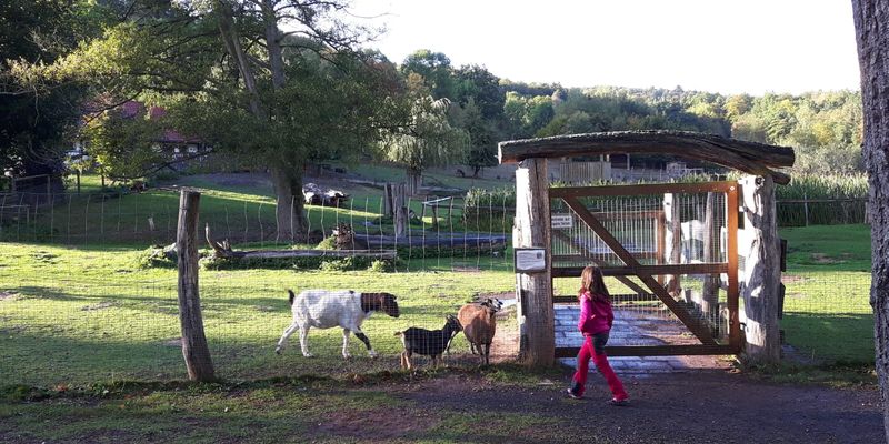 Wildpark Hardegsen