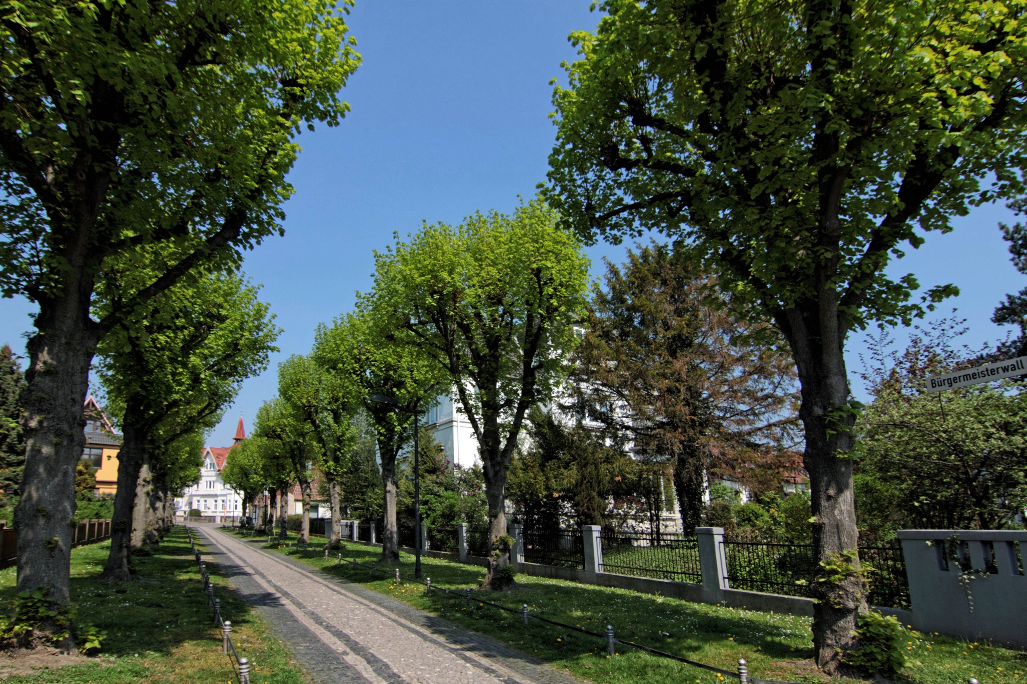Bürgermeisterwall