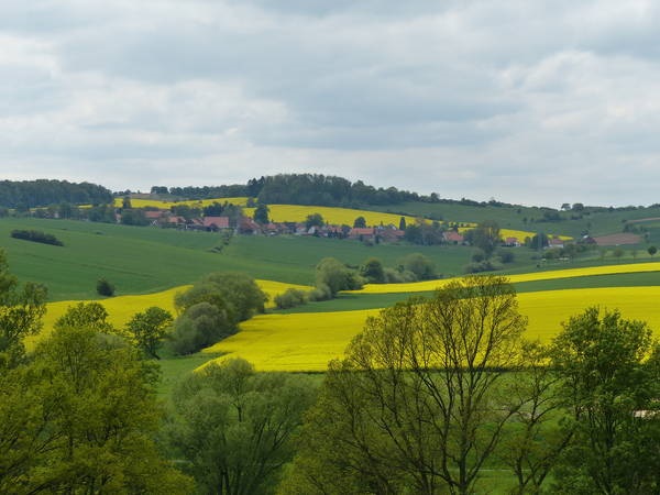 Bartshausen