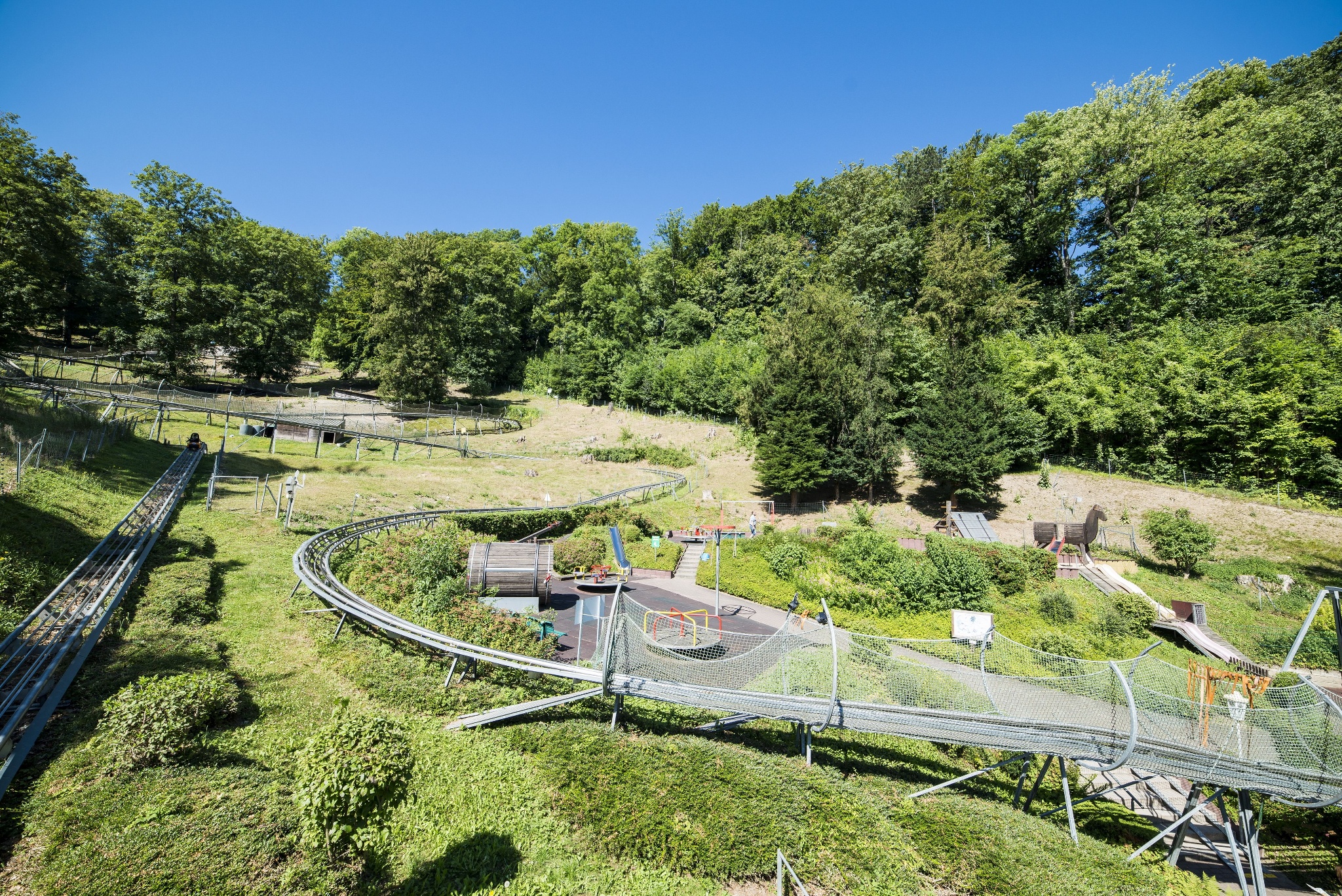 Sommer-Rodelbahn Bodenwerder