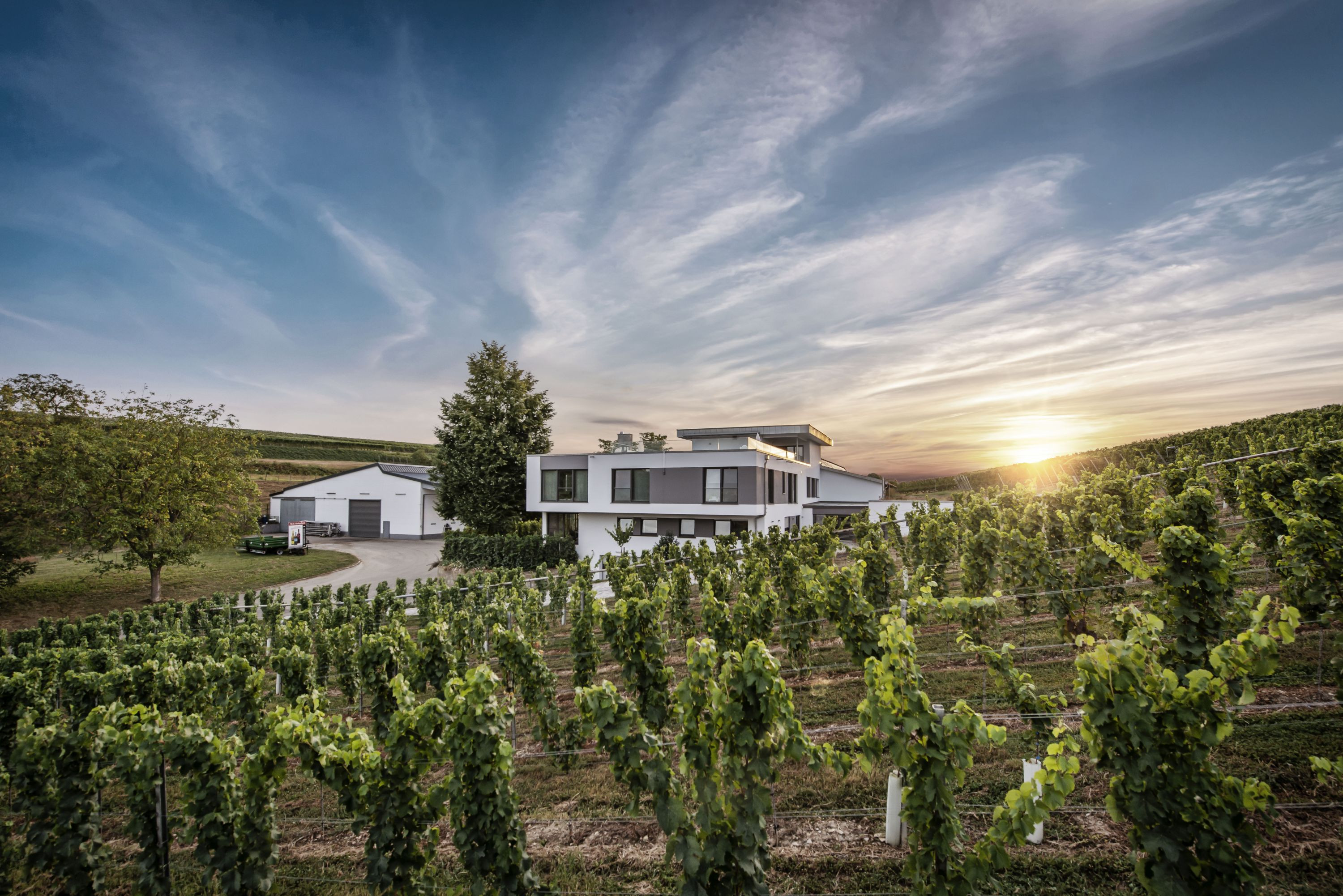 Privatweingut Eberbach-Schäfer | Lauffen