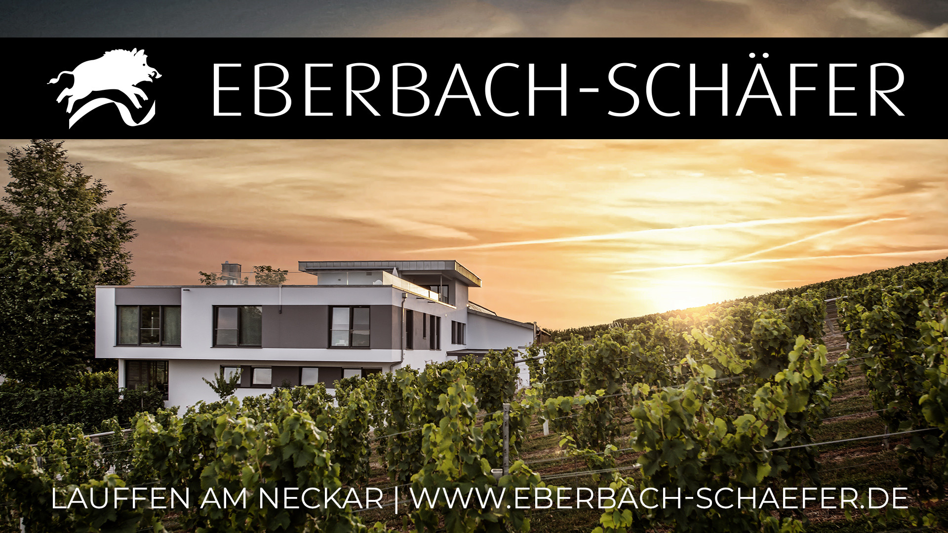 Haus des Weingut Eberbach-Schäfer mit Weinberg | Lauffen