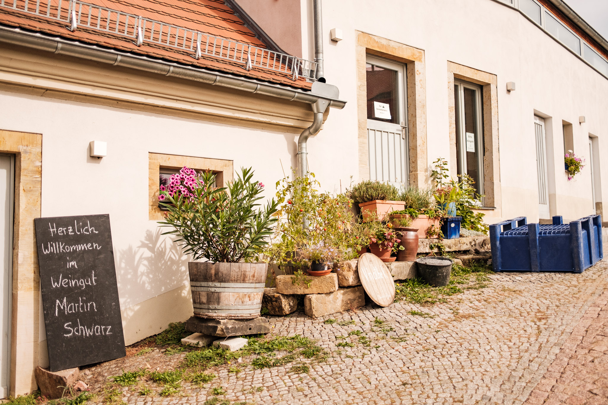 Vinothek Weingut Martin Schwarz – Motiv