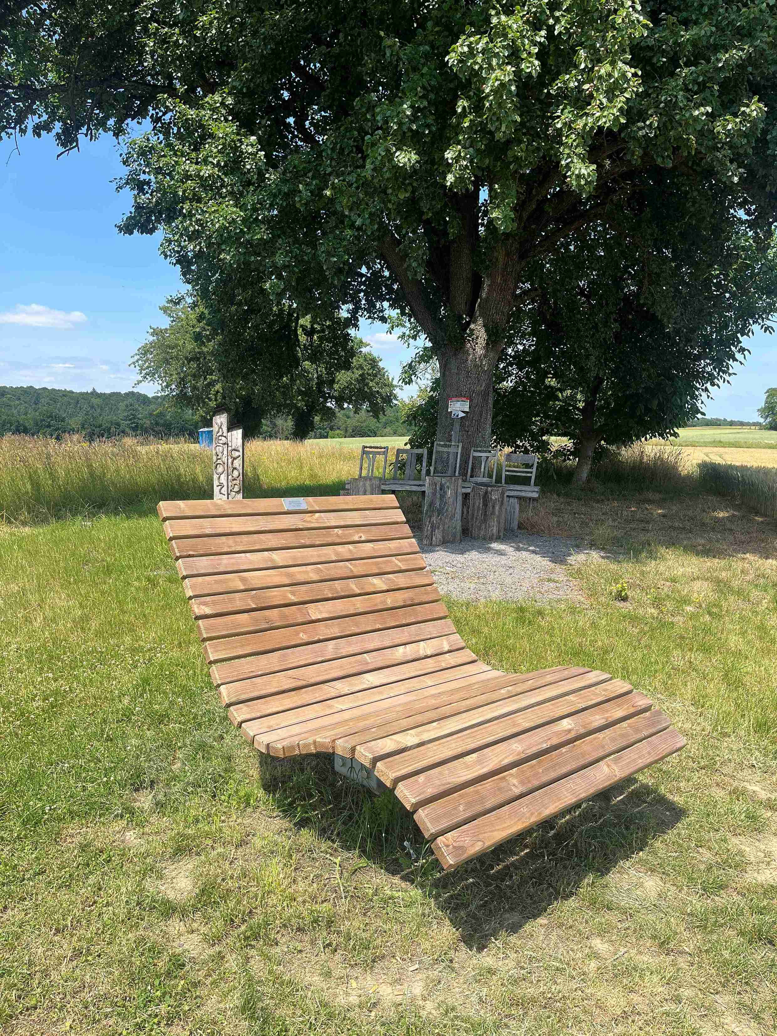 Hügelsofa_Odenheim_Weinberge_2025_06_17_Viola_Spitzer_CCBYSA
