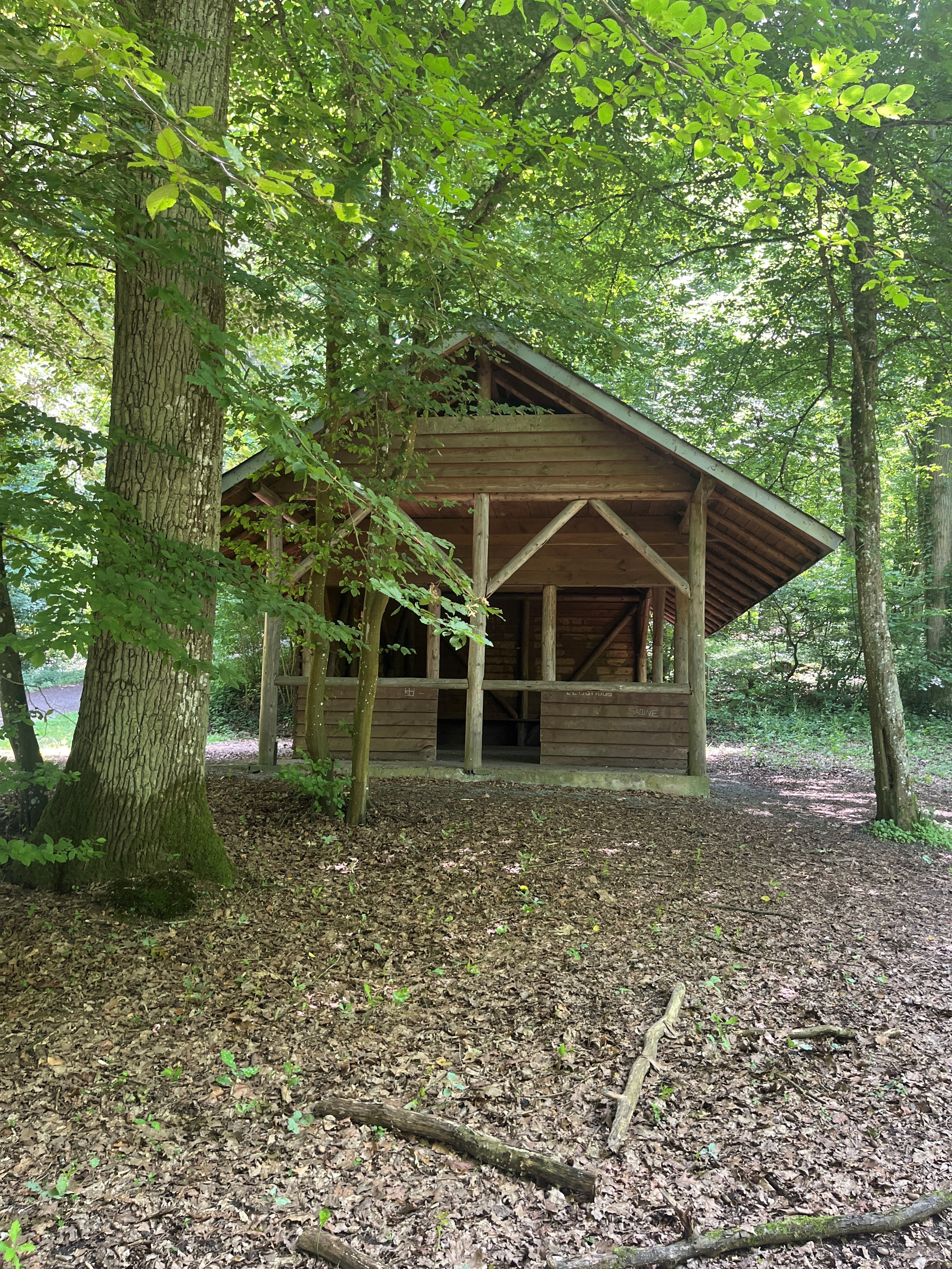 Waldhütte_Kreuzbergsee_Tiefenbach_2_2025_06_17_Viola_Spitzer_CCBYSA
