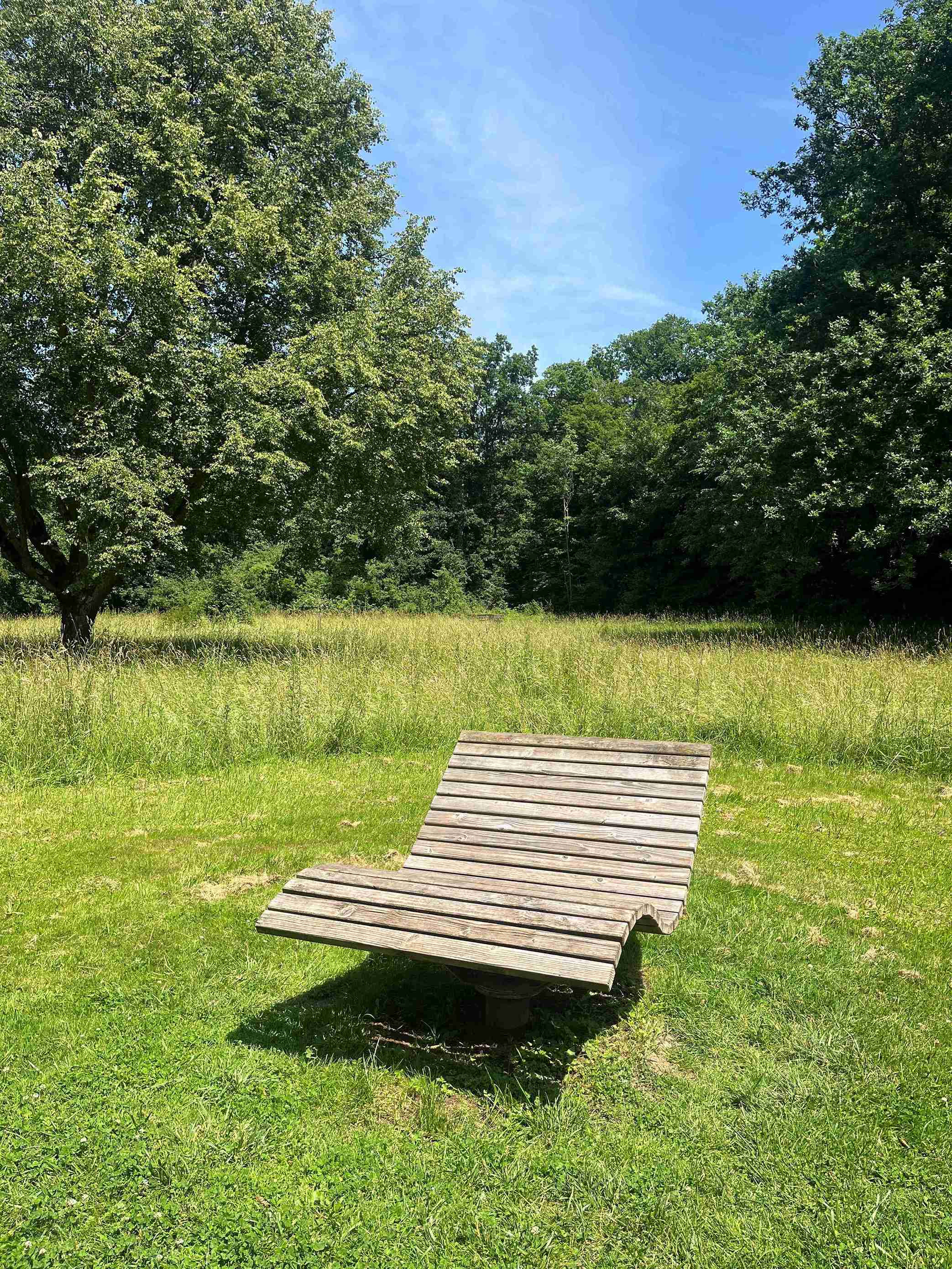 Hügelsofa_Tiefenbach_Kreuzbergsee_2_2025_06_17_Viola_Spitzer_CCBYSA