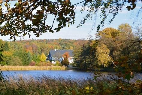 Ferienwohnungen „Zur Waldscheibe“ – Motiv