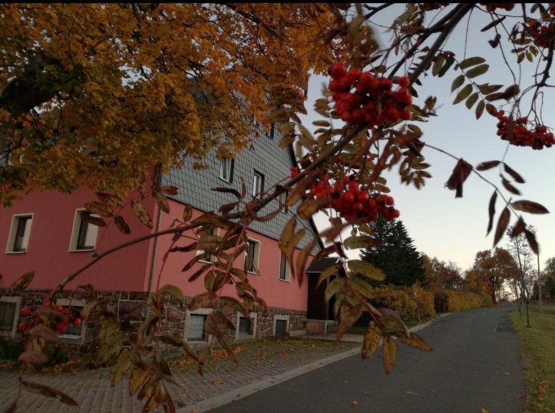 Ferienwohnung „Zum Ausblick“