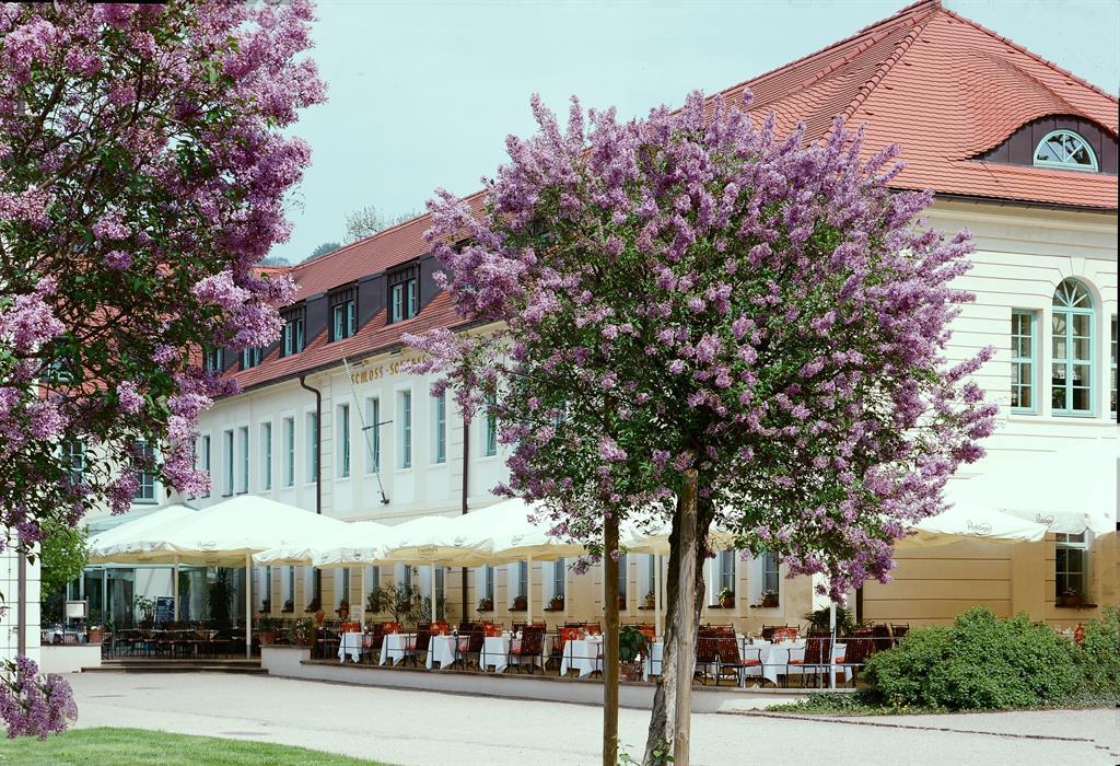 Schlosshotel Pillnitz – Motiv