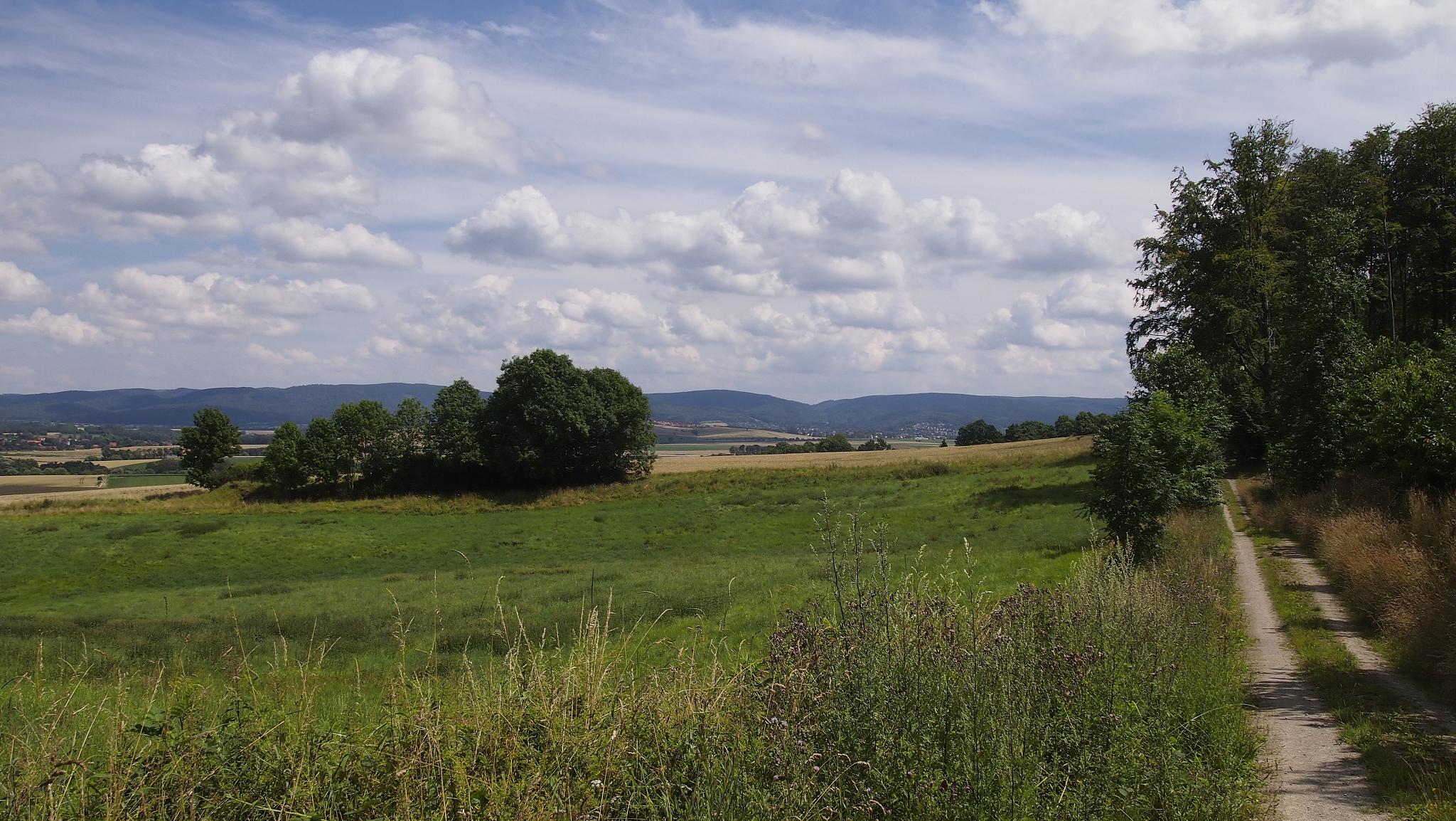 „Wilhelm Busch Wanderweg“ - Mechtshausen (ca. 18,0 km)