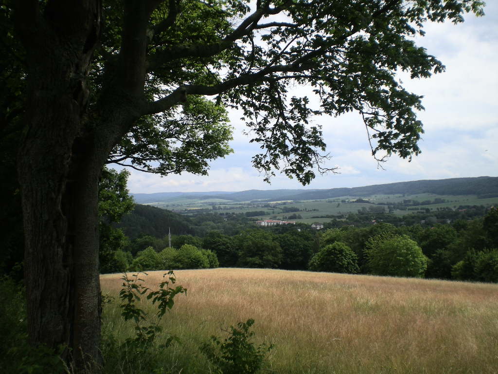 RW 6 - Durch Wald und Feld nach Heckenbeck