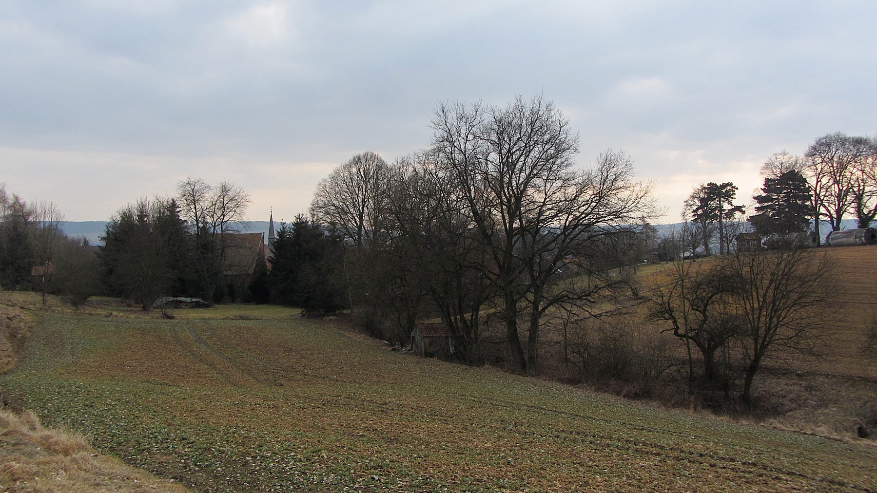 Von Gremsheim zur Kopfbuche (ca. 6 km)
