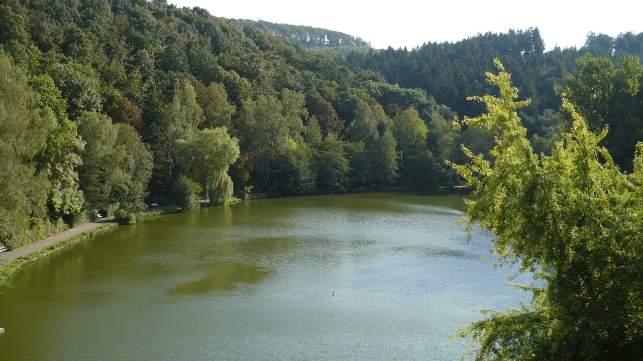 RW 3 - Auf der Schanze (ca. 4,0 km)