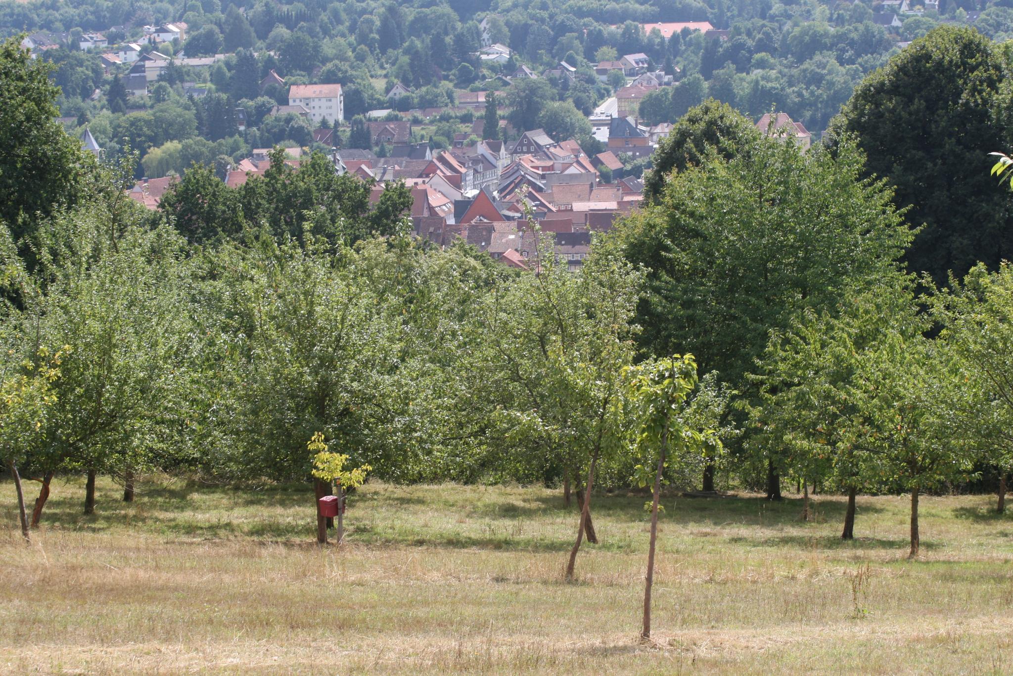 RW 1 - Rundweg Stadtblick