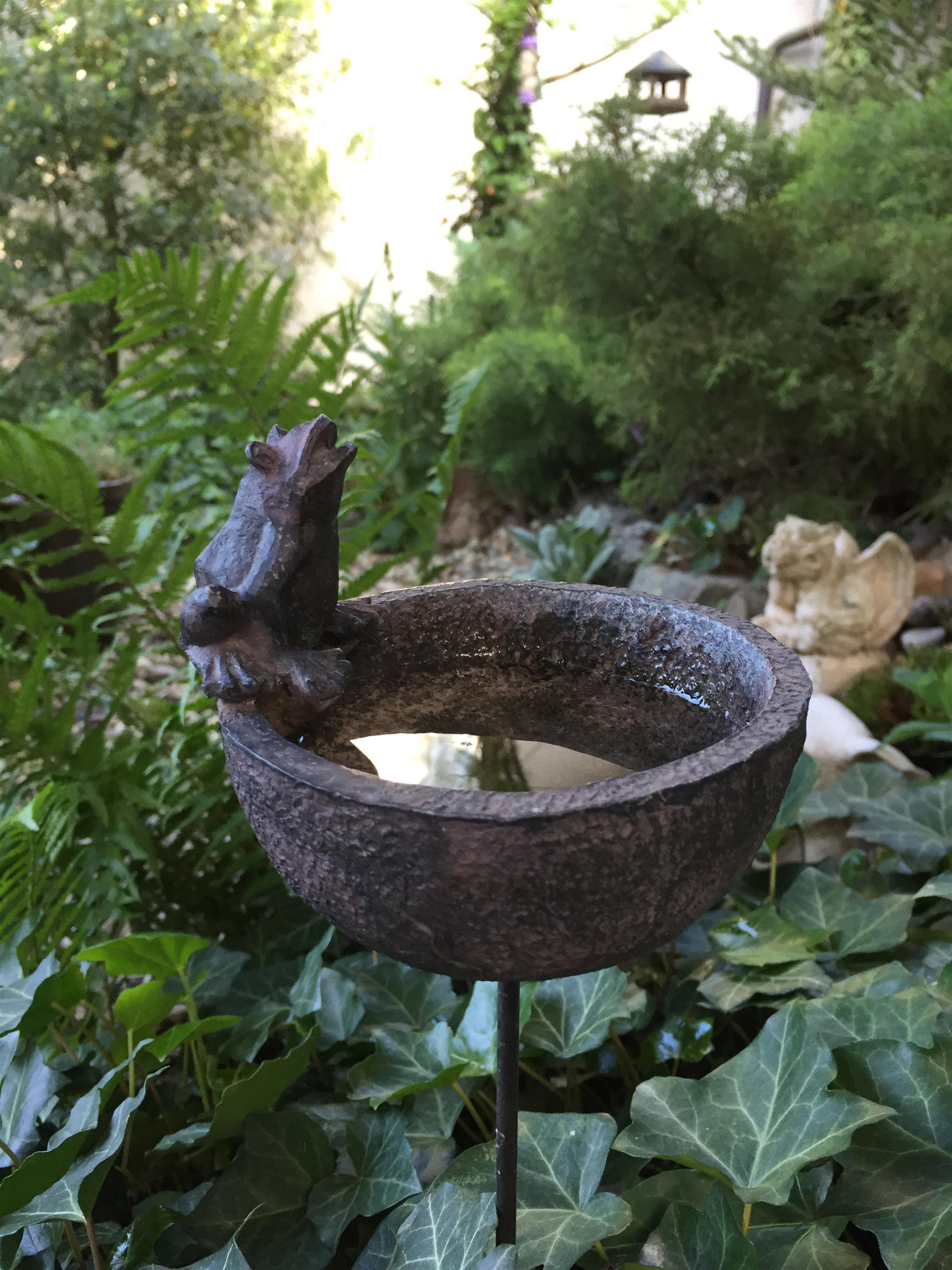 Einblicke aus dem Garten