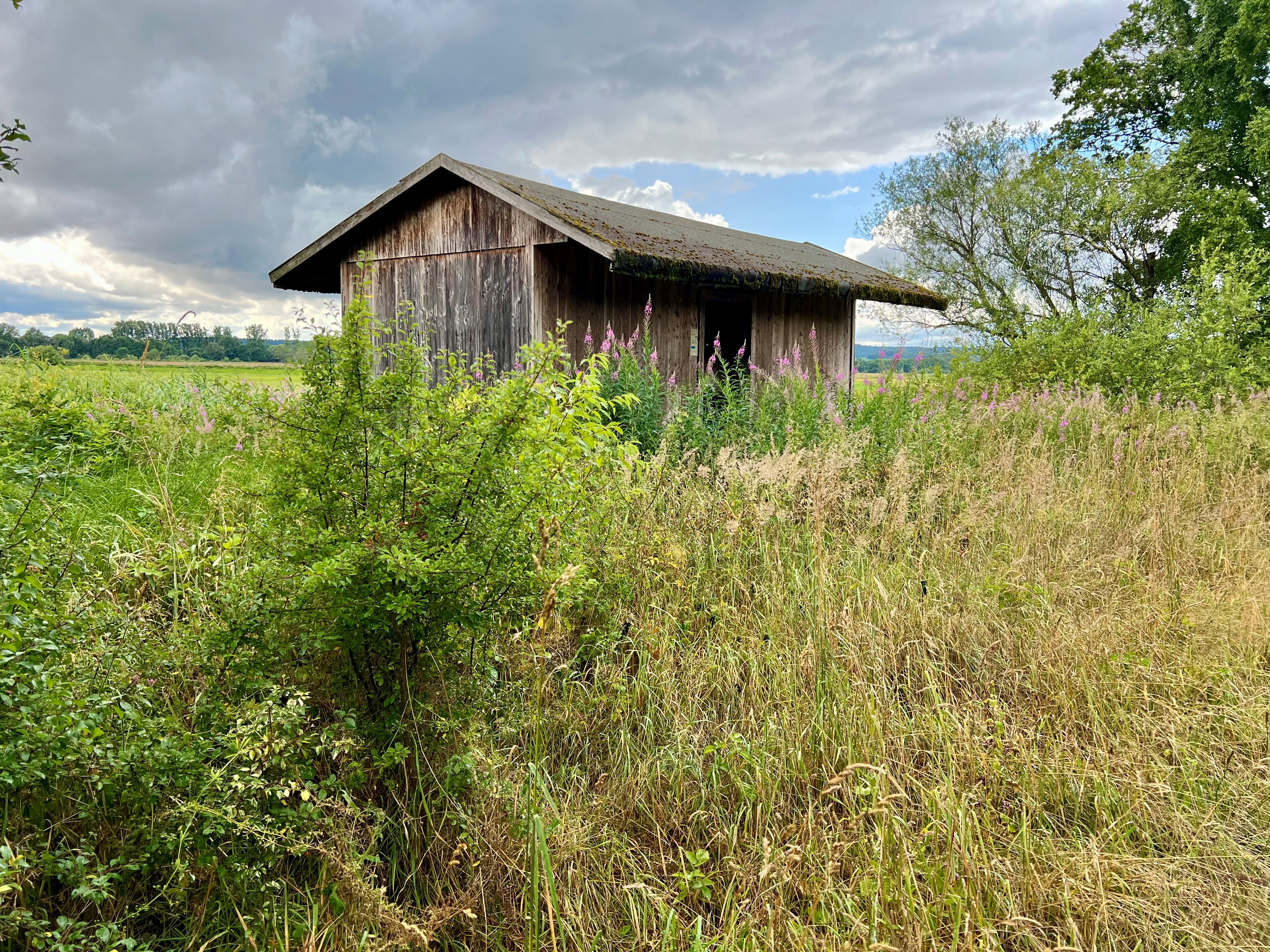 Beobachtungshütte Gänsewiese