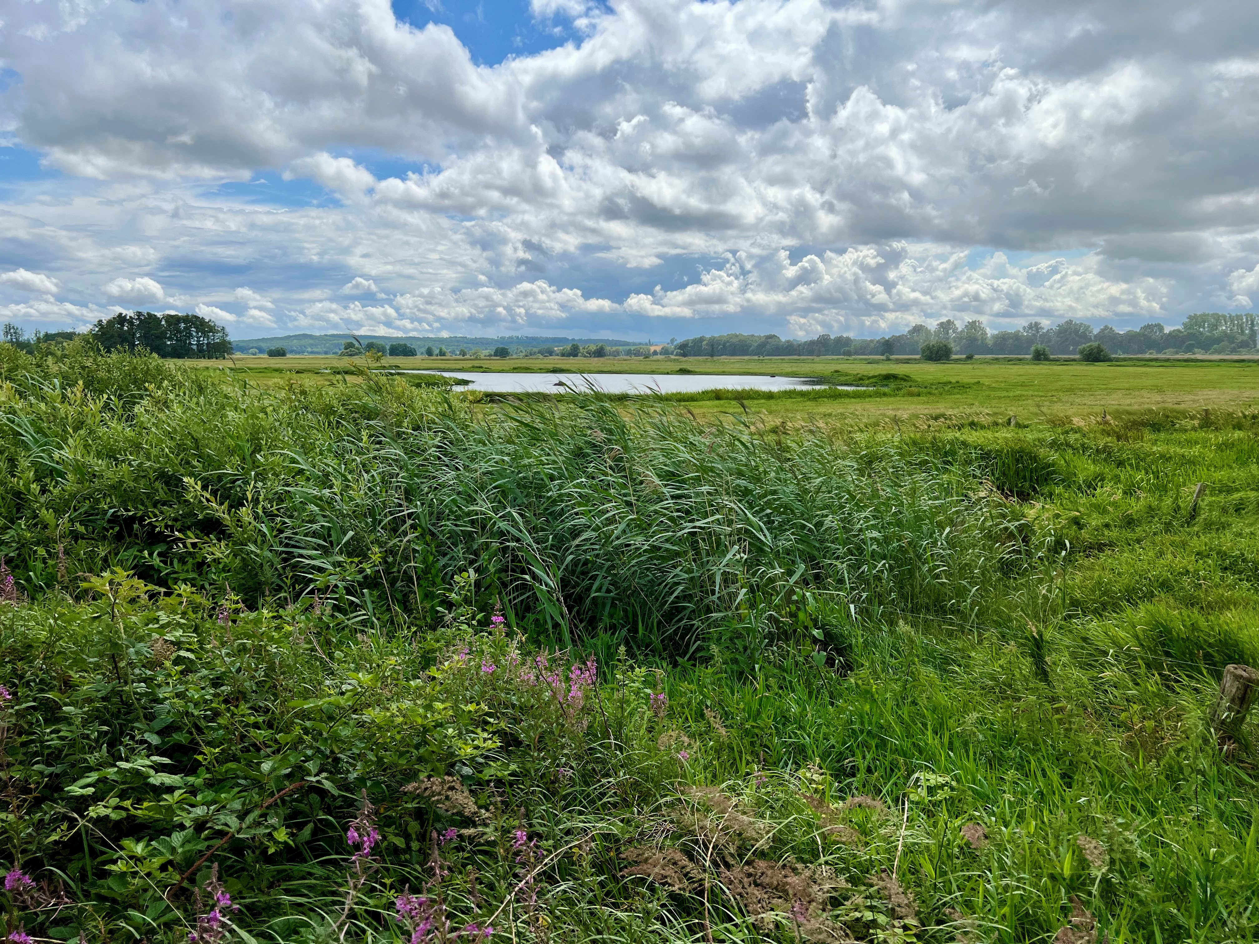 Beobachtungshütte Gänsewiese